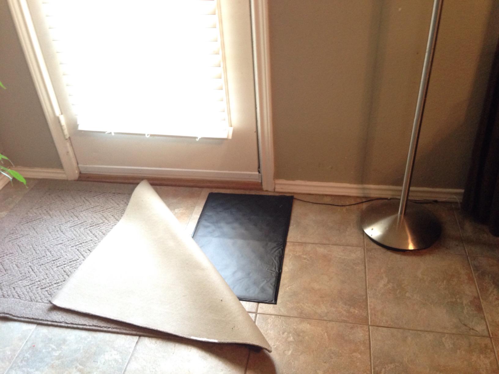 Ideal Security Pressure Floor Mat Home Alarm System - Wired Alarm & Chime, Anti-Wandering, Welcome Mat, Pet Door Mat customer photo 1