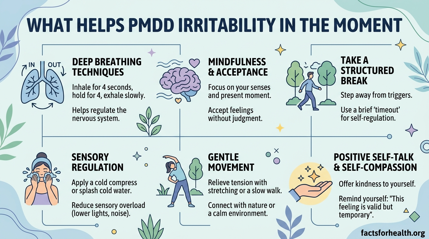 What Helps PMDD Irritability in the Moment