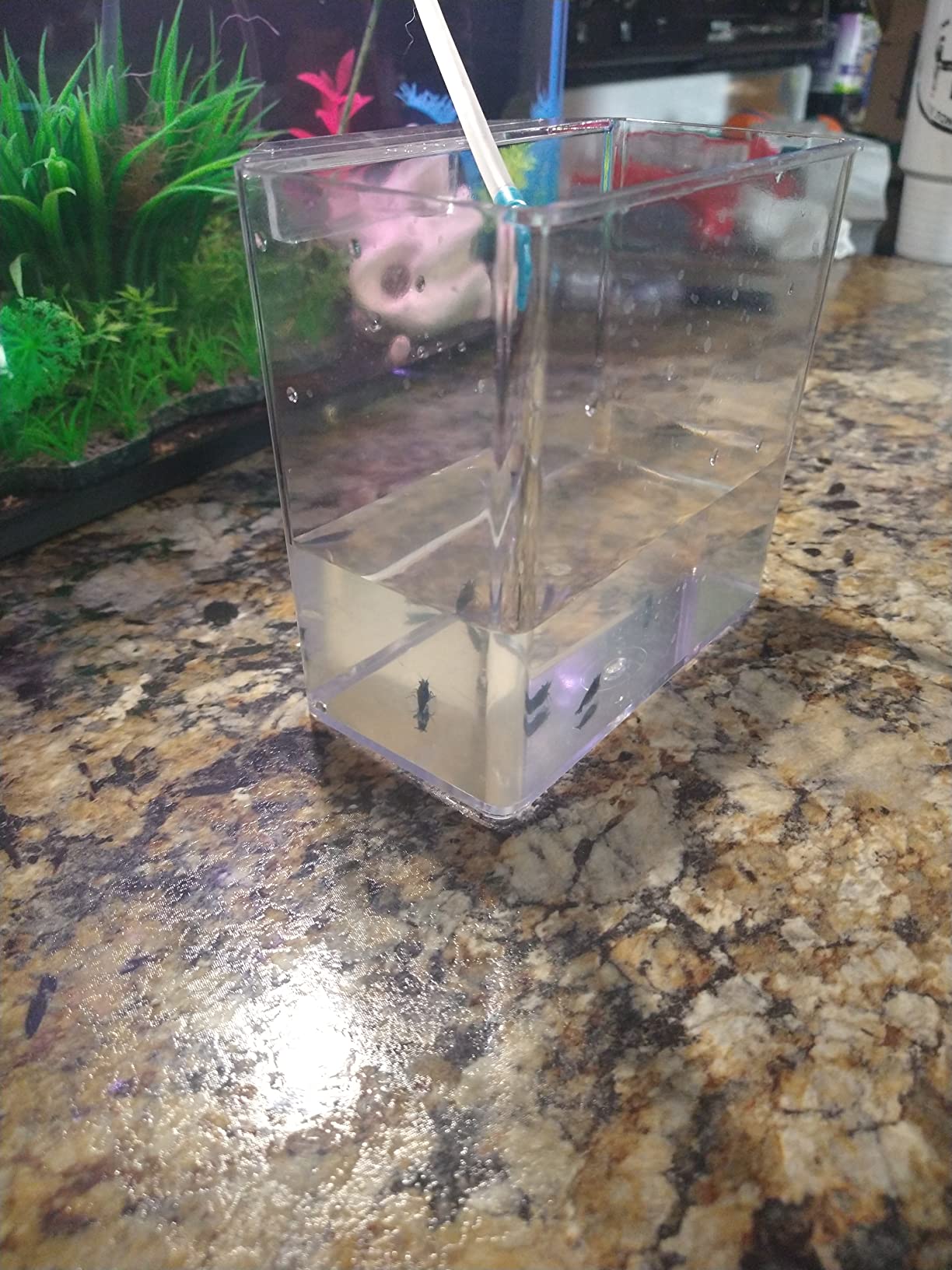 Lee's Convalescent Home/Specimen Container, Small customer photo 2