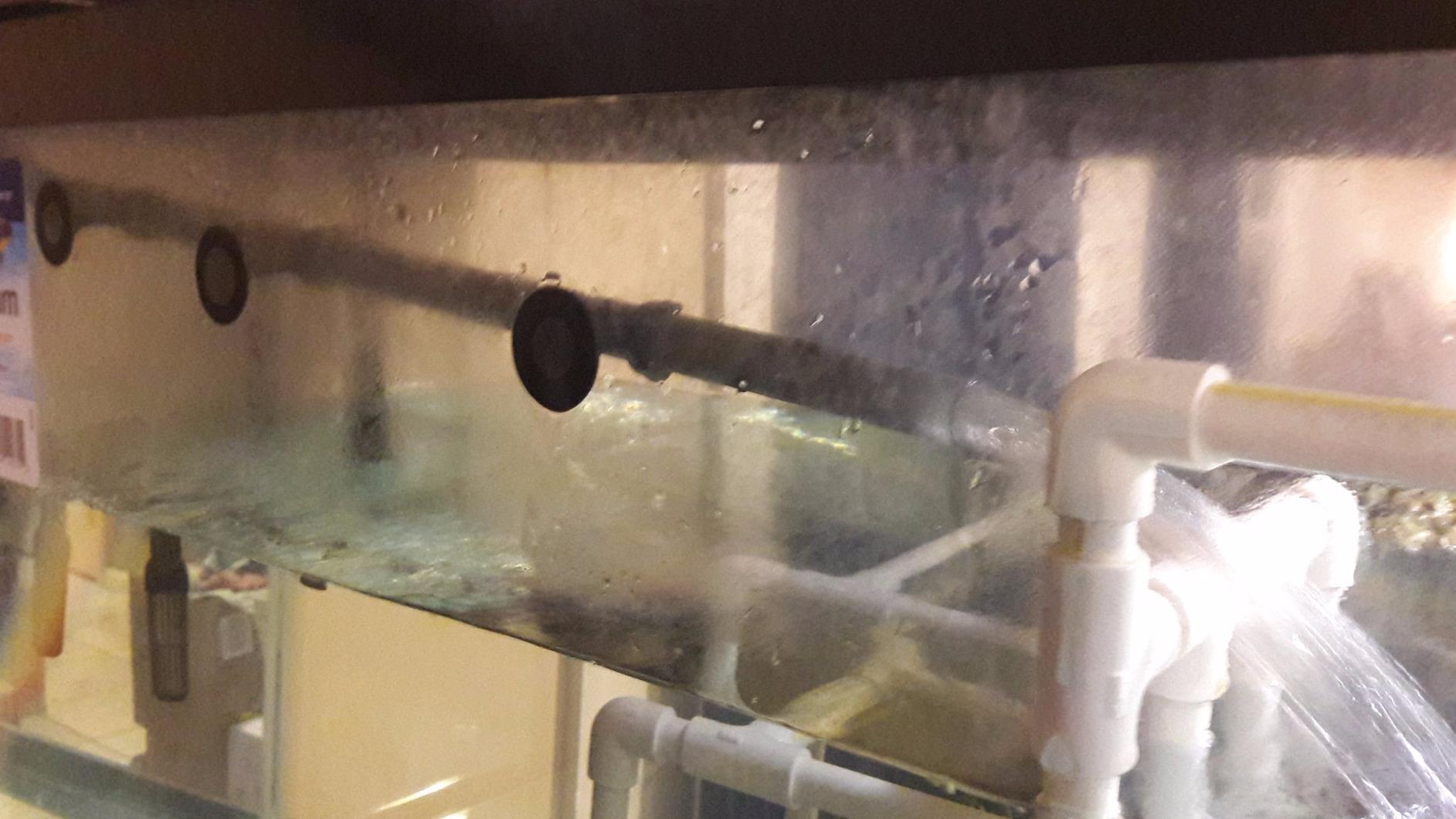 Penn-Plax Cascade 1200 Canister Filter - 315 GPH Aquarium Filter for Tanks Up to 150 Gallons customer photo 1