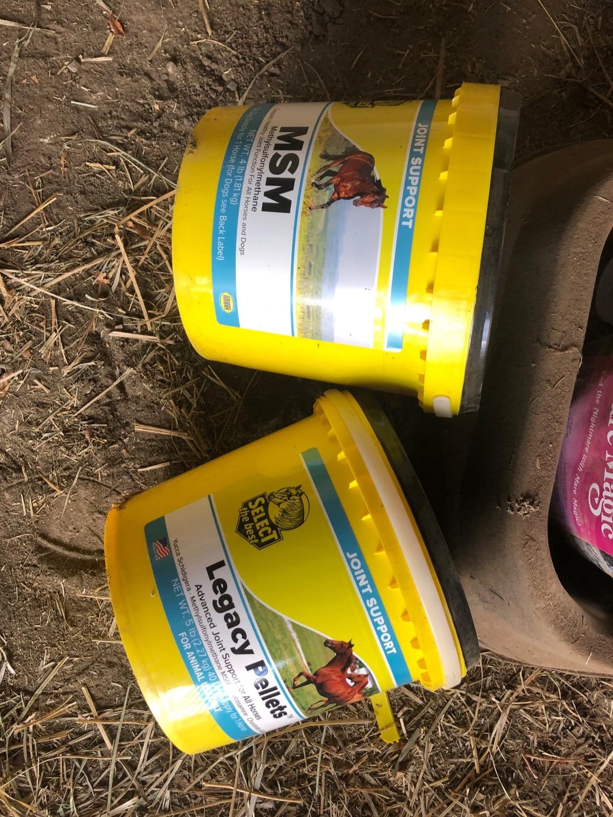 RICHDEL 784299540507 Legacy Pellets Joint Support for Senior Horses, 5 lb customer photo 2