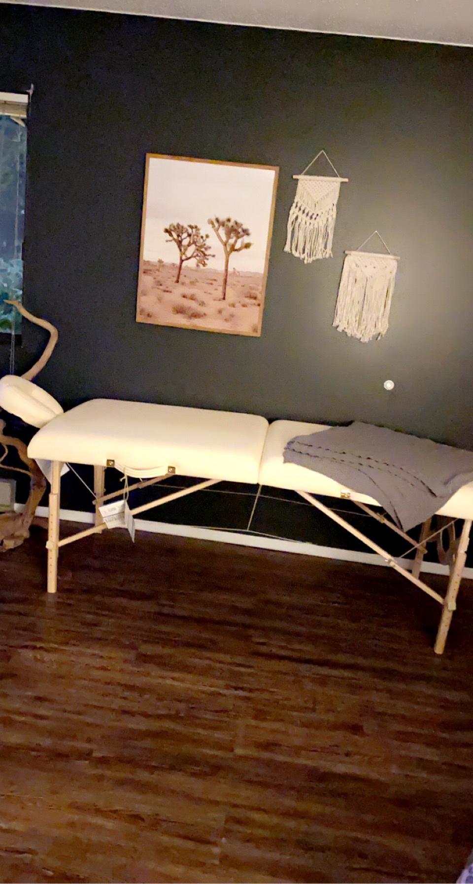 EARTHLITE Portable Massage Table Package AVALON - Reiki Endplate, Premium Flex-Rest Face Cradle & Strata Cushion, Carry Case (30