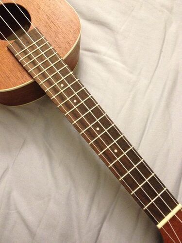Kala KA-C Satin Mahogany Concert Ukulele customer photo 1