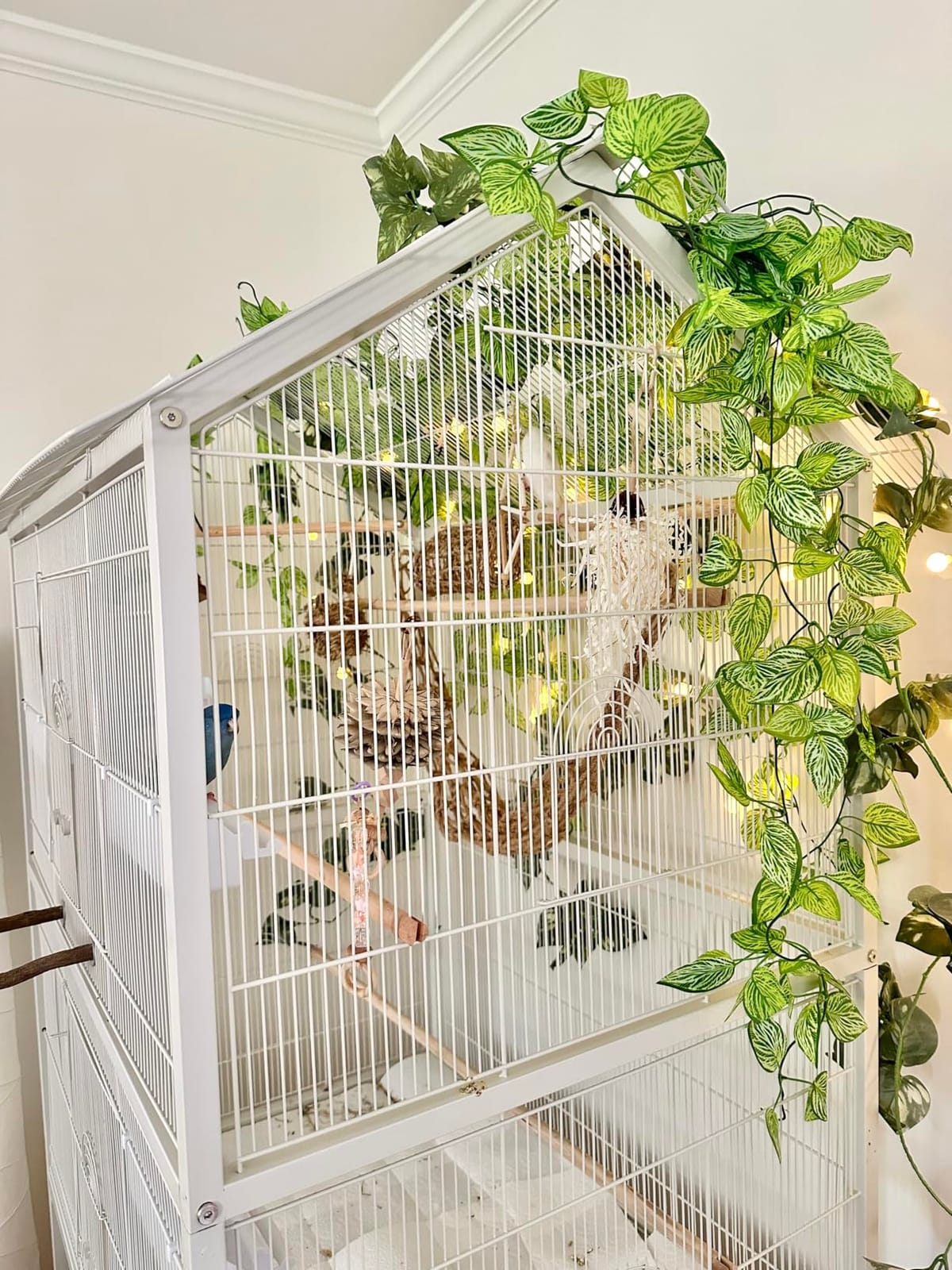 Prevue Pet Products Wrought Iron Flight Cage with Stand, Large Birdcage for Pets, Metal Cage Standing Birdcage, Black Hammertone Finish | Large Birdcage for Parakeets, Canaries, Finches, Cockatiels, Lovebirds, & Green Cheeks customer photo 1