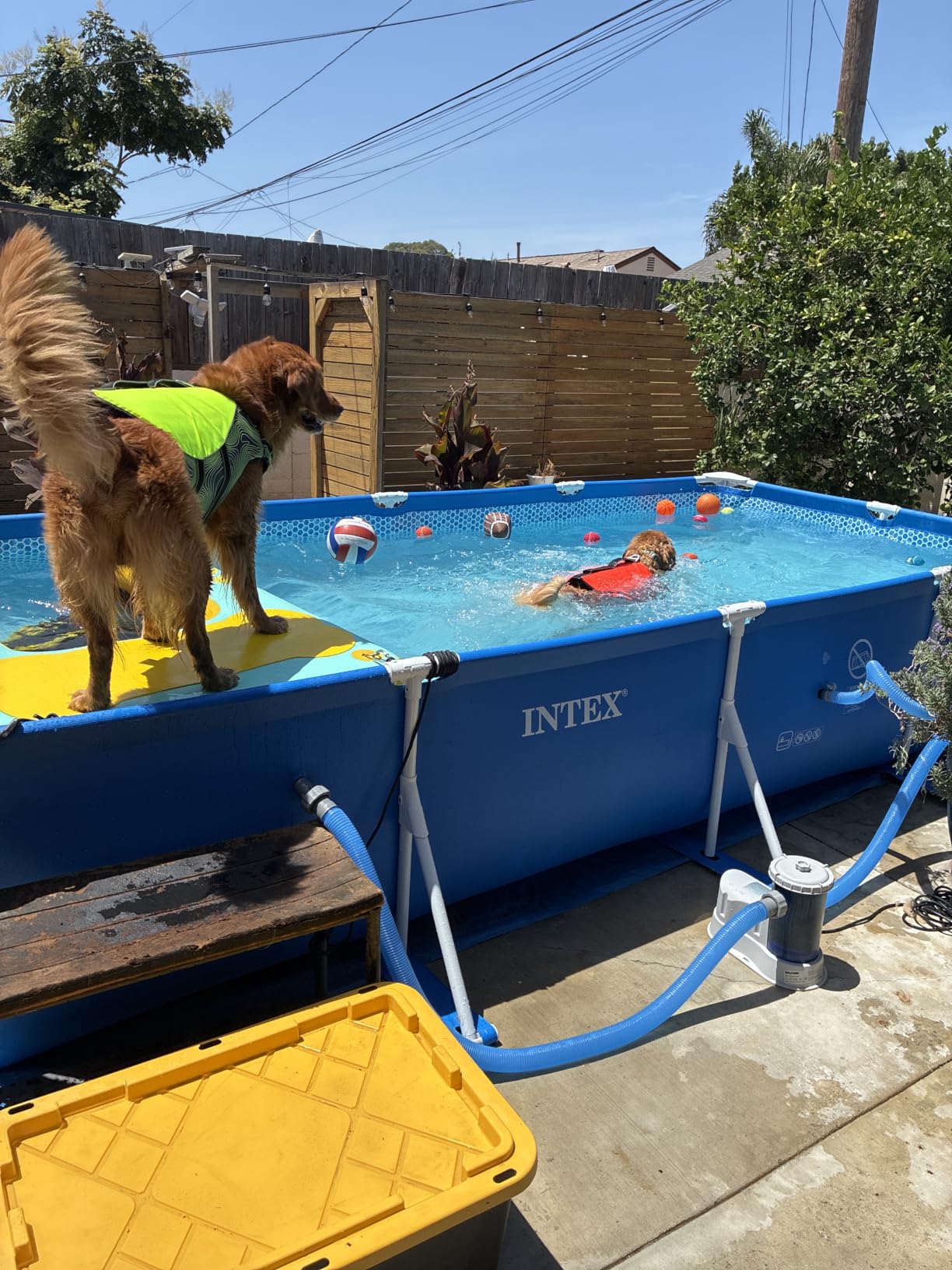 INTEX Metal Frame 9ft 10in x 6ft 6.75in x 29.5in Above Ground Swimming Pool | 28272EH -Pool Only (Pump Not Included) customer photo 2