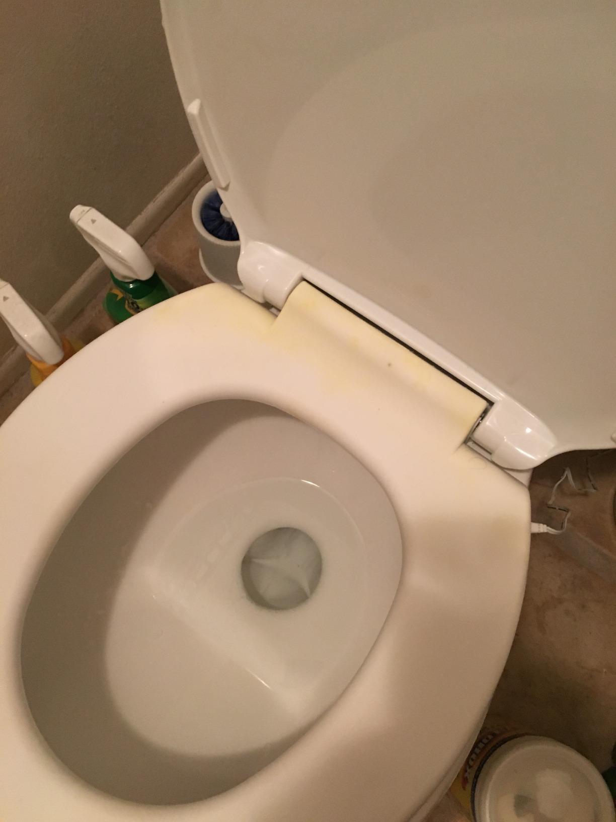 UltraTouch 01811 12 Watt/12 Volt UL-Listed Soft Round Bowl White Heated Standard Toilet Seat for Standard American Bathrooms, White customer photo 2