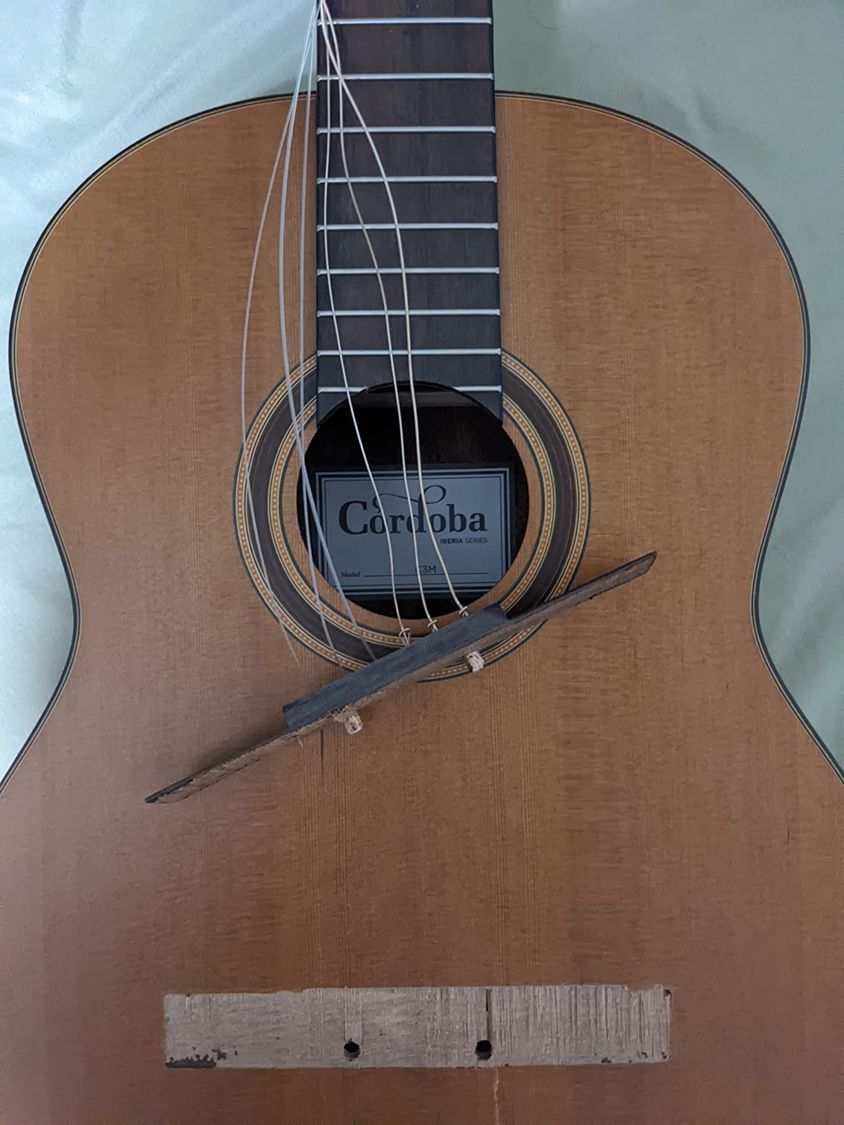 Cordoba C3M Classical Guitar customer photo 1