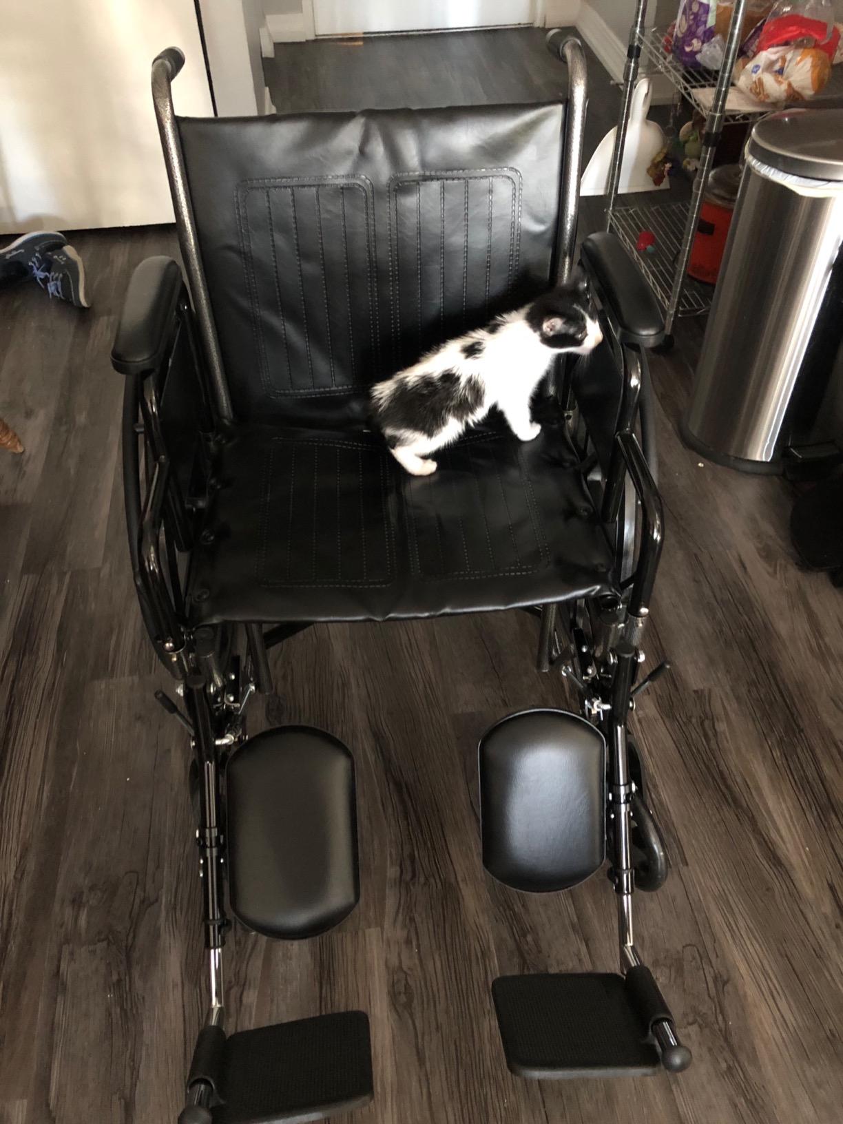 Drive Medical SSP220DDA-ELR Silver Sport 2 Transport Wheelchair, Black | Full-Reclining Transport Chair with Detachable Desk Arms and Swing-Away Elevating Leg Rest customer photo 2