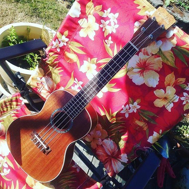 Cordoba 15CM Concert Ukulele - Hand Crafted With Mahogany Top, Back & Sides, Authentic Abalone Rosette & Satin Finish & Premium Italian Aquila Strings - For Beginners & Professionals customer photo 1
