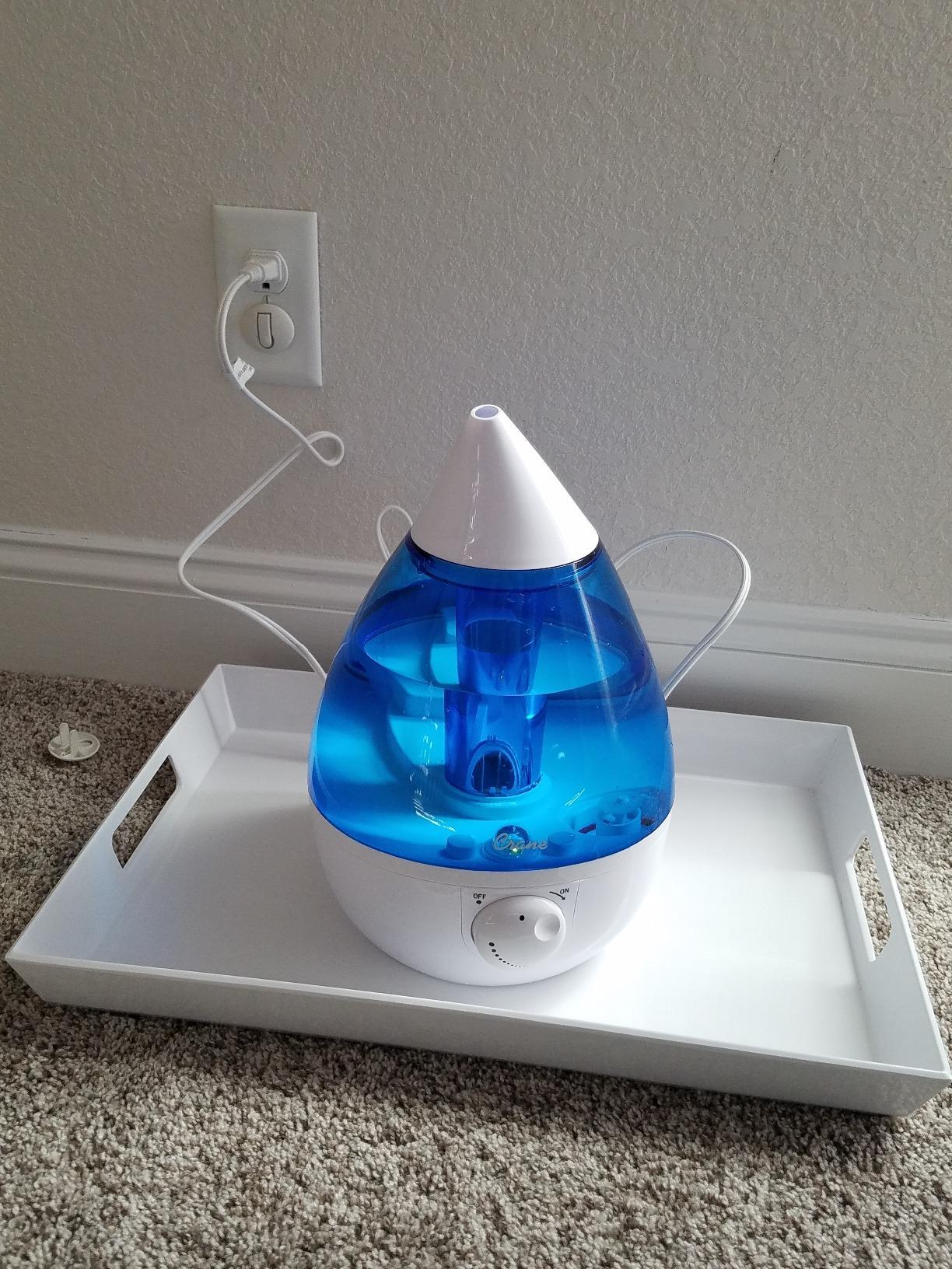 Crane Ultrasonic Cool Mist Humidifier for Bedroom Baby Nursery Kids Room Plants or Office, Large 1 Gallon Tank, Filter Optional, White customer photo 1
