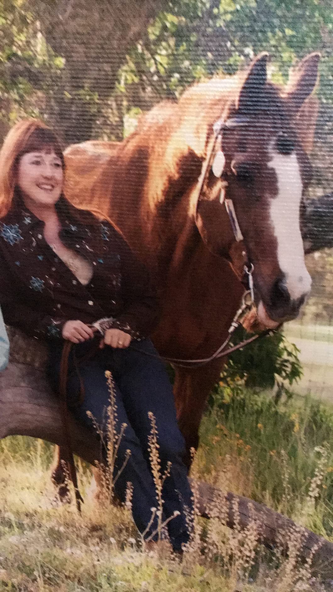 Fast Acting Horse Colic Relief - 15 Minute Natural Gas & Spasmodic Support Oral Equine Digestive Comfort Syringe - Safe for Pregnant Mares - Essential Barn First Aid customer photo 2