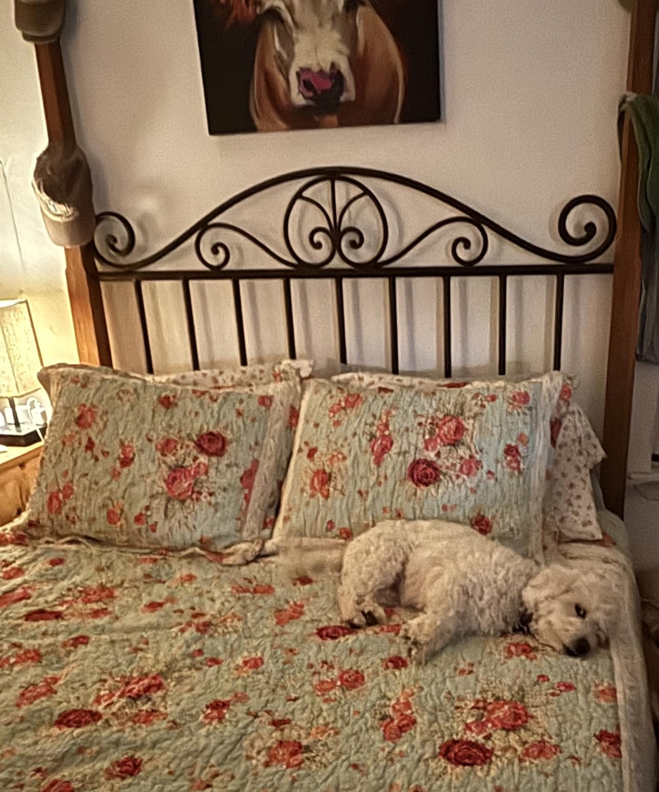 Greenland Home Antique Rose 100% Cotton Heirloom-Quality Quilt Set, 5-Piece King/Cal King, Ecru customer photo 2