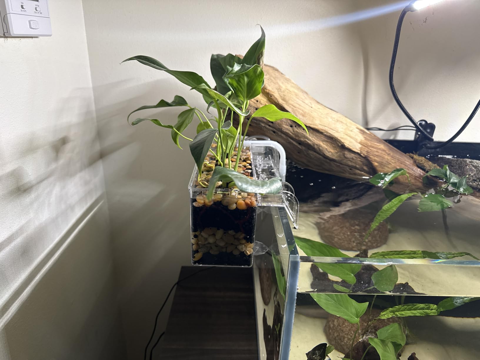 Fluval Multi-Chamber Holding and Breeding Box, Medium customer photo 1