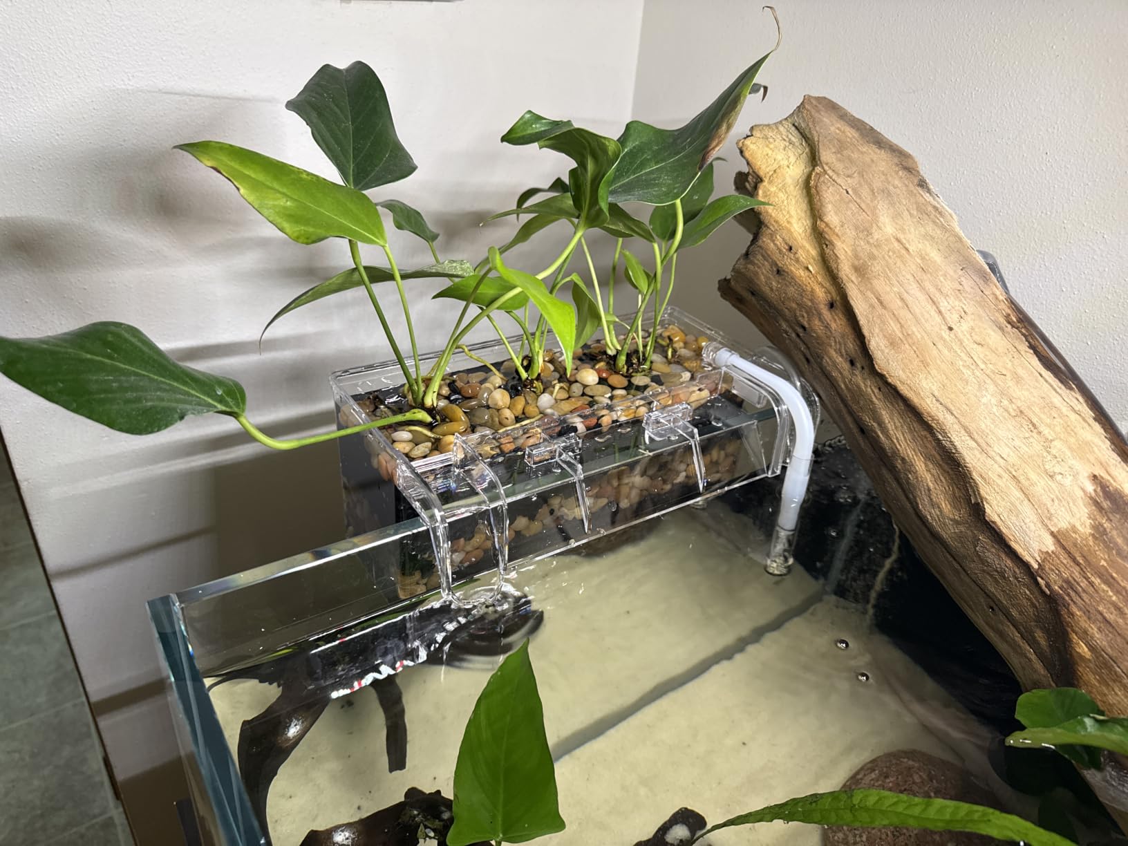 Fluval Multi-Chamber Holding and Breeding Box, Medium customer photo 2