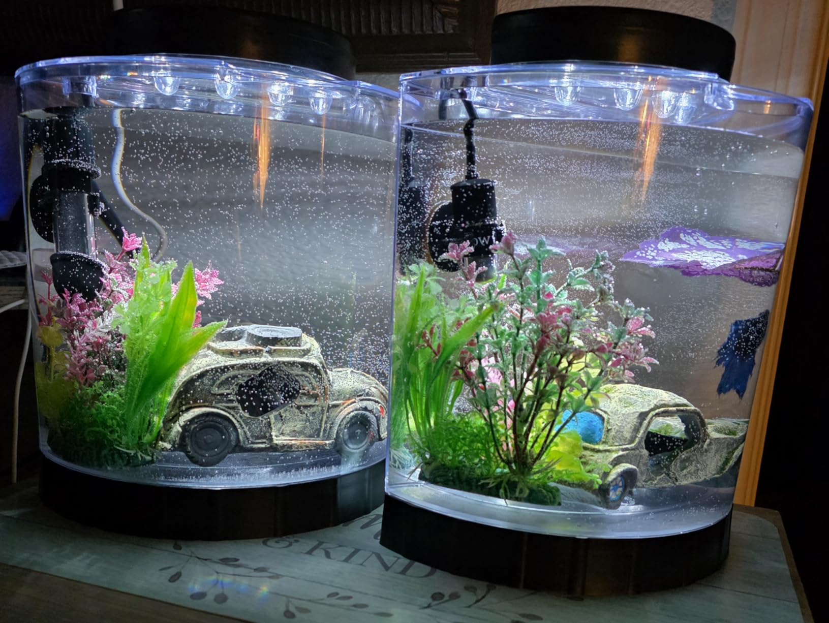 Tetra LED Half Moon 1.1 Gallon Fish Tank Kit for Betta Fish | Aquarium Kit Includes Moveable LED Light and 1.1 Gallon Acrylic Tank With Feeding Hole, Ideal for Beginners customer photo 2