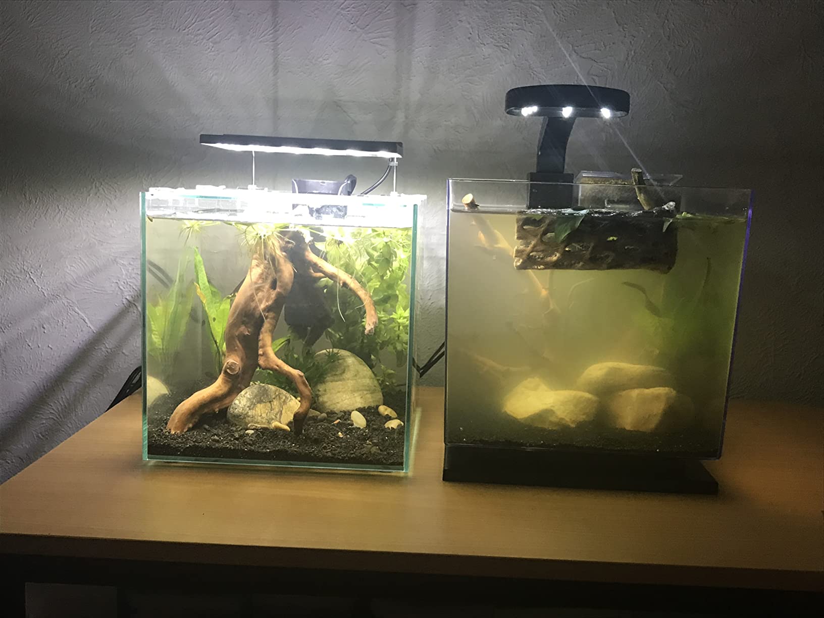 Tetra Cube 3 Gallon Starter Fish Tank Kit | Aquarium Kit Includes LEDs, 3 Gallon Acrylic Tank, Filter & Cartridge, For Small Tropical Fish, Guppies, Goldfish, or Betta customer photo 1