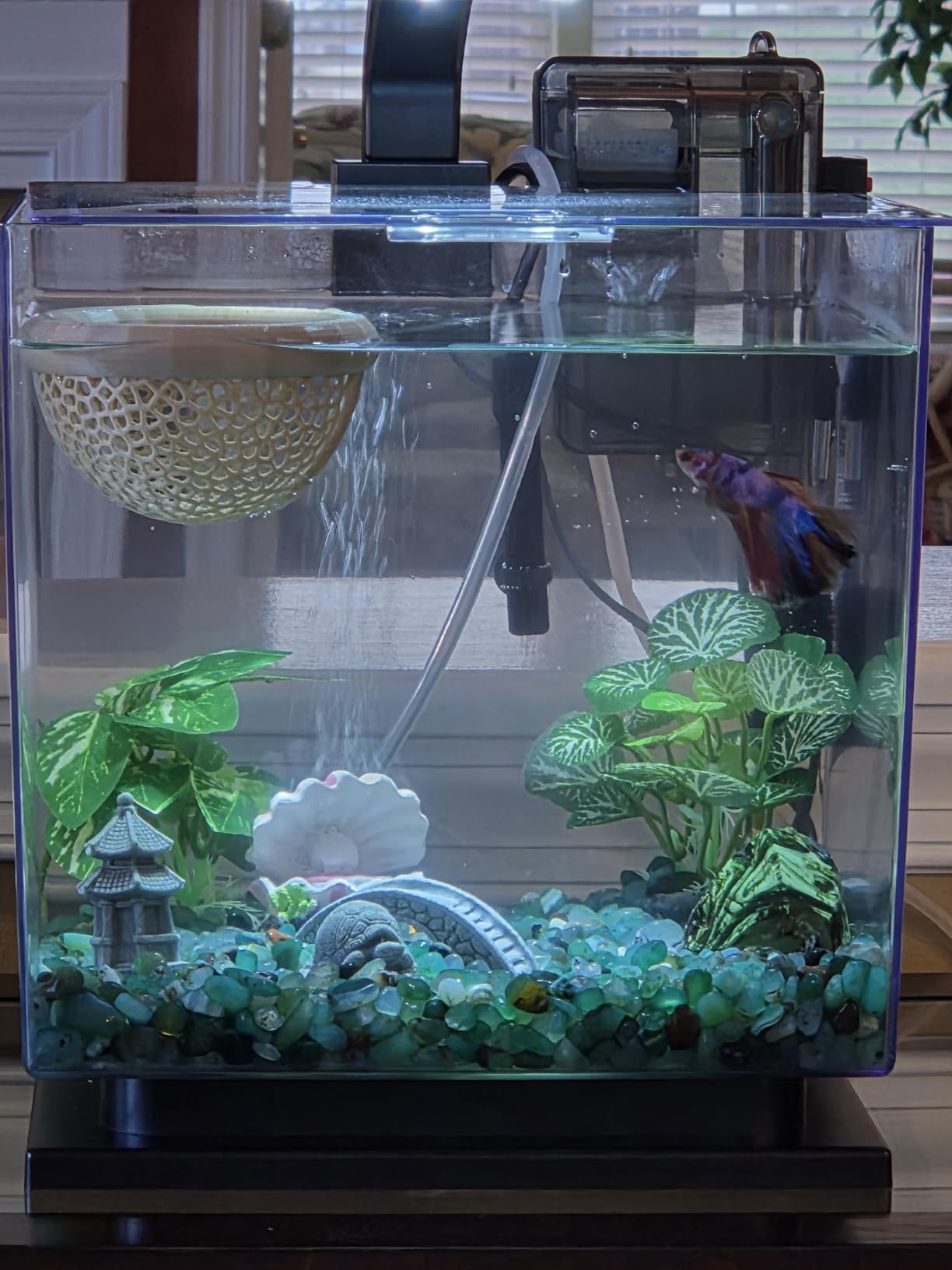 Tetra Cube 3 Gallon Starter Fish Tank Kit | Aquarium Kit Includes LEDs, 3 Gallon Acrylic Tank, Filter & Cartridge, For Small Tropical Fish, Guppies, Goldfish, or Betta customer photo 2