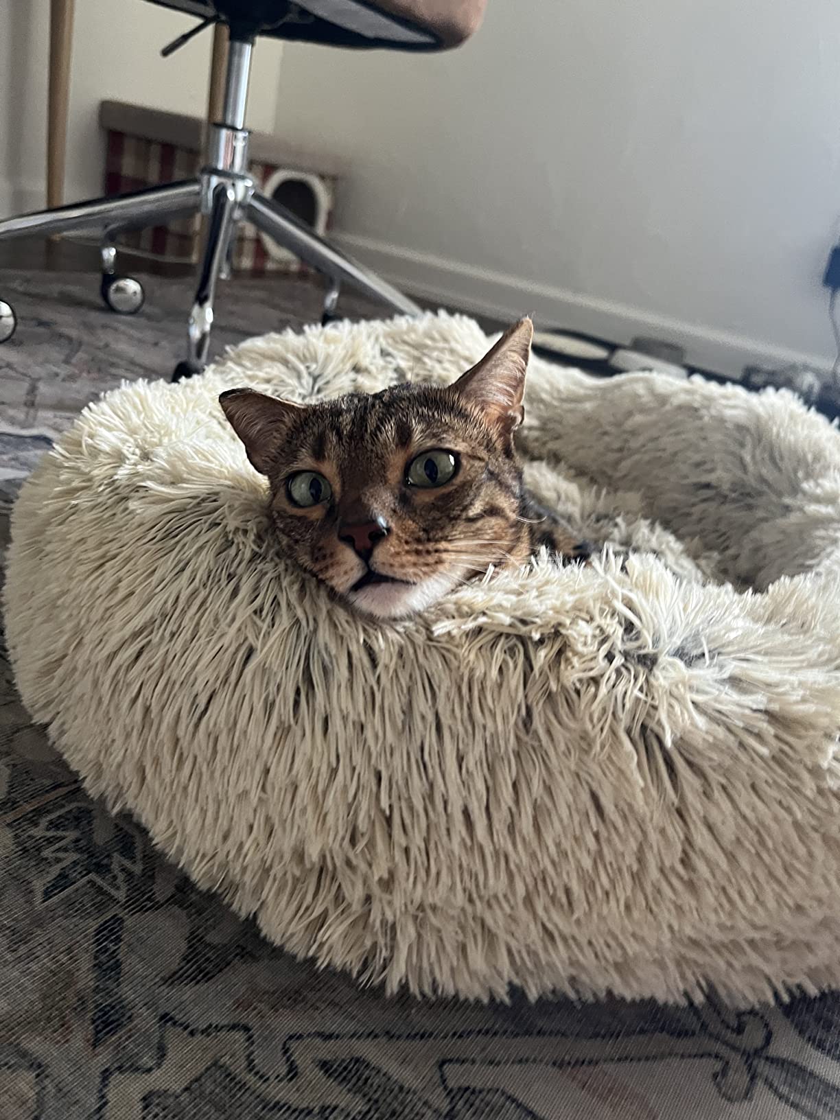 Friends Forever Serena Donut Memory Foam Orthopedic Dog Bed, Soft Faux Fur Oval Cat Couch For Indoor Pet, Fluffy Calming Plush Shag, Round Raised Bolster Cushion, Machine Washable Cuddler customer photo 2