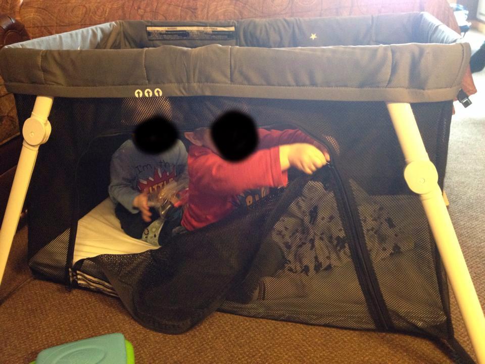 Guava Family Travel Crib with Lightweight Backpack Design | Portable Folding Play Yard customer photo 2