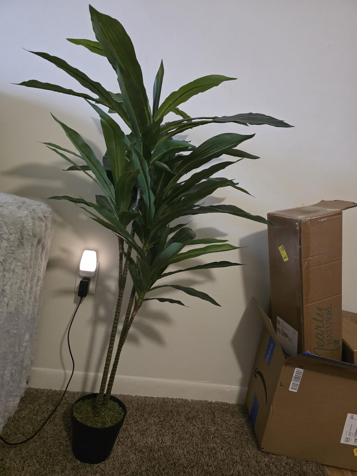 Nearly Natural 48 in Artificial Dracaena Real Touch Plant with Pot | Multi-Tonal Trunks, Large Indoor Silk Plant, Maintenance-Free, Living Room and Home Office Decor customer photo 2