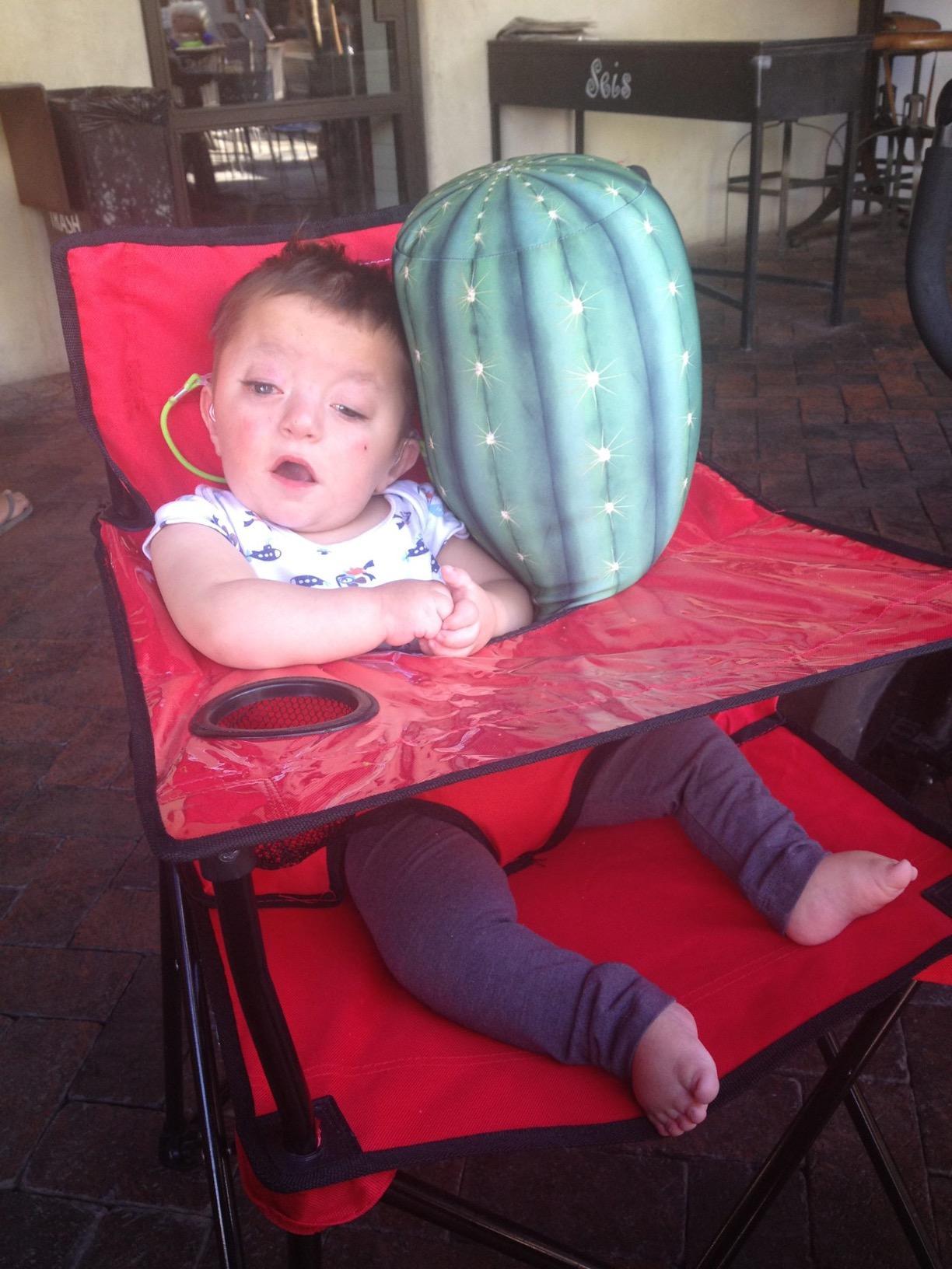 ciao! baby Portable High Chair for Travel, Fold Up High Chair with Tray, Blue customer photo 2