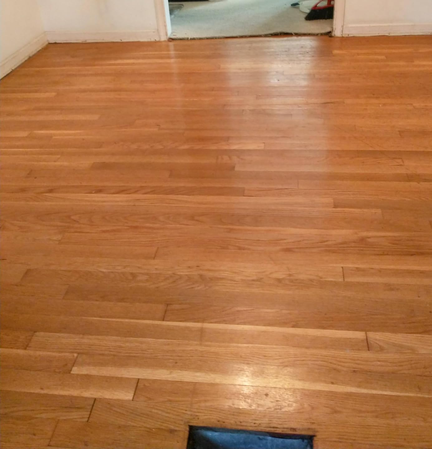 Rejuvenate All Floors Cleaner Refill, Breaks Down Dirt and Grime, Cleans and Protects Floors Throughout Your Home, Including Sealed Hardwood, Tile, Vinyl, Laminate and More, 1 Gallon customer photo 2
