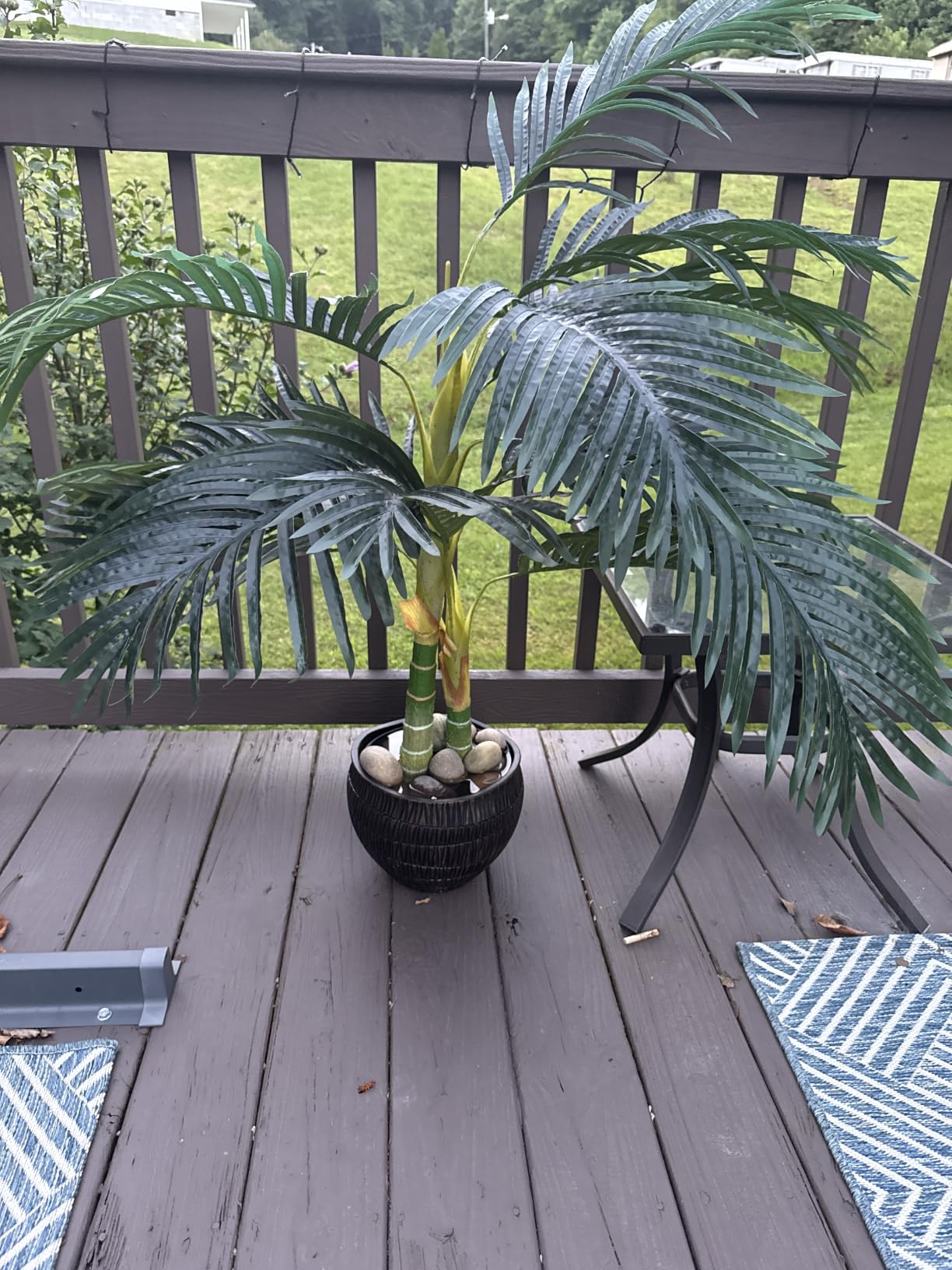 Nearly Natural 4 ft Artificial Golden Cane Palm Tree with Nursery Pot | Double-Stalk, Lush Realistic Foliage, Indoor Faux Palm Plant, Living Room Decor, Perfect Tropical Decoration customer photo 2