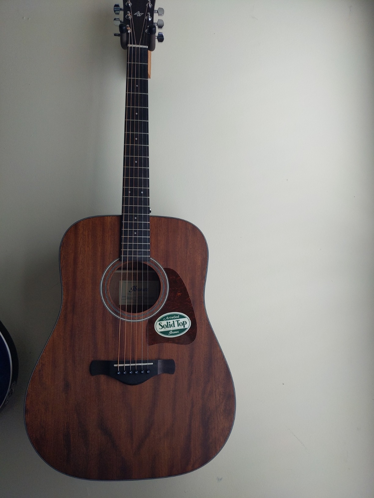 Ibanez Artwood Dreadnought Acoustic Guitar - Open Pore Natural customer photo 1