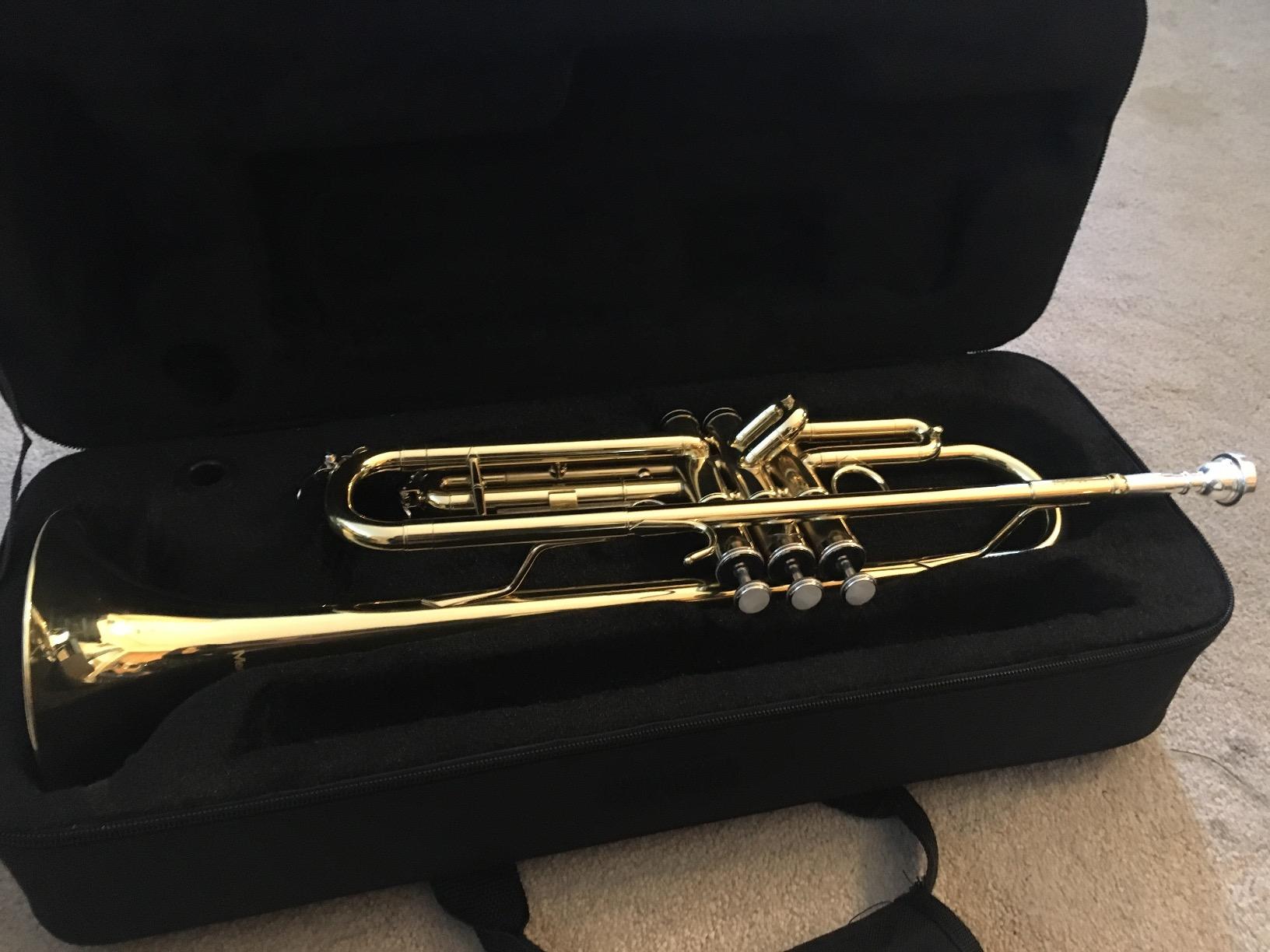 Mendini By Cecilio Bb Standard Trumpet Set for Beginners - Gold | Brass Trumpet Instrument with Hard Case, 7C Mouthpiece, Valve Oil, Cleaning Cloth & Maintenance Kit & Gloves customer photo 2