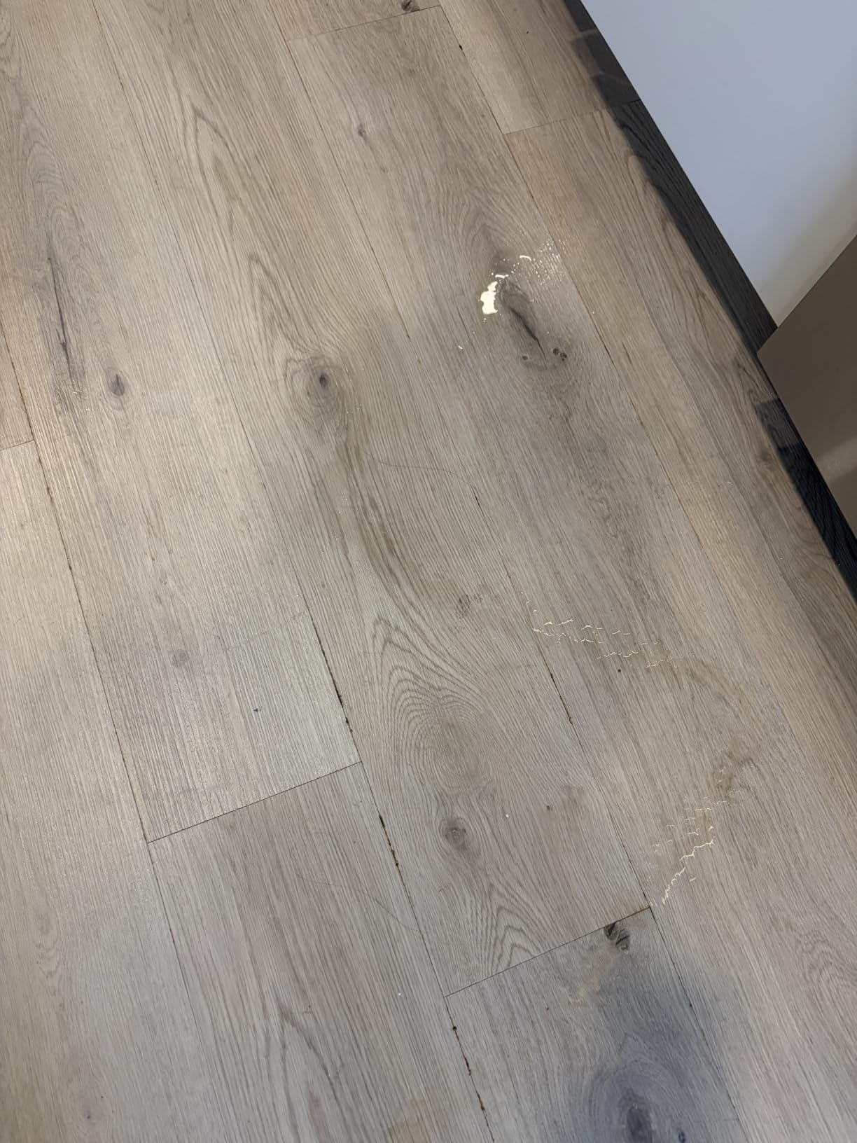 Method Squirt + Mop Hardwood Floor Cleaner, Almond, 25 Ounce, 1 pack, Packaging May Vary customer photo 1