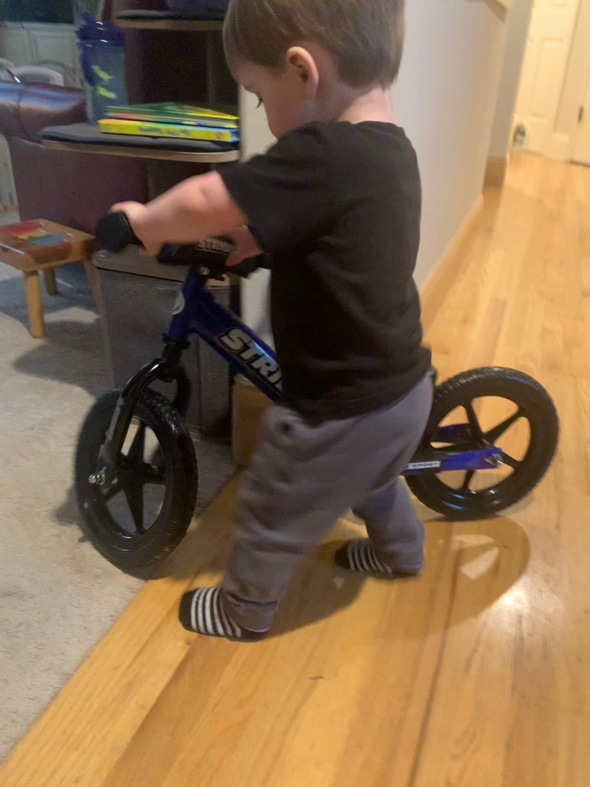 Strider 12 Sport, No Pedal Balance Bike for Kids Ages 1-4 Years, Blue customer photo 1