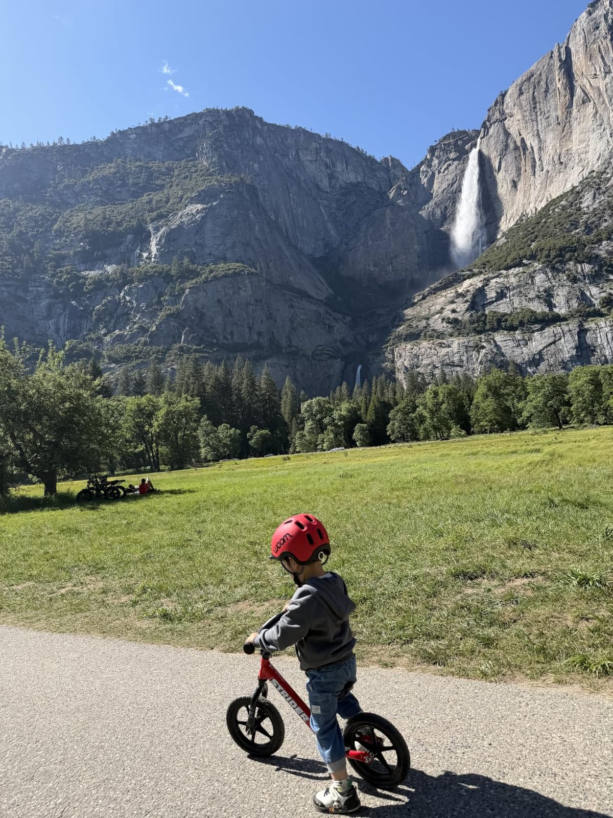 Strider 12 Sport, No Pedal Balance Bike for Kids Ages 1-4 Years, Blue customer photo 2