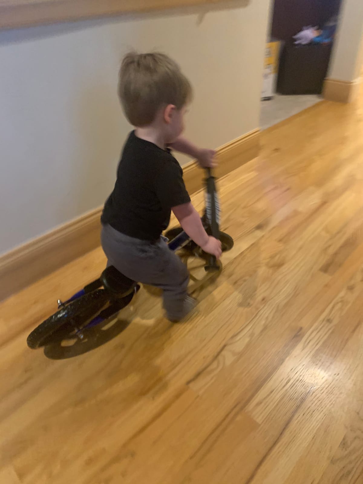 Strider 12 Sport, No Pedal Balance Bike for Kids Ages 1-4 Years | No-Pedal Balance Bike for Toddlers, Safety Pad, Adjustable Seat and Handlebars Lightweight Frame, Never-Flat Tires customer photo 2