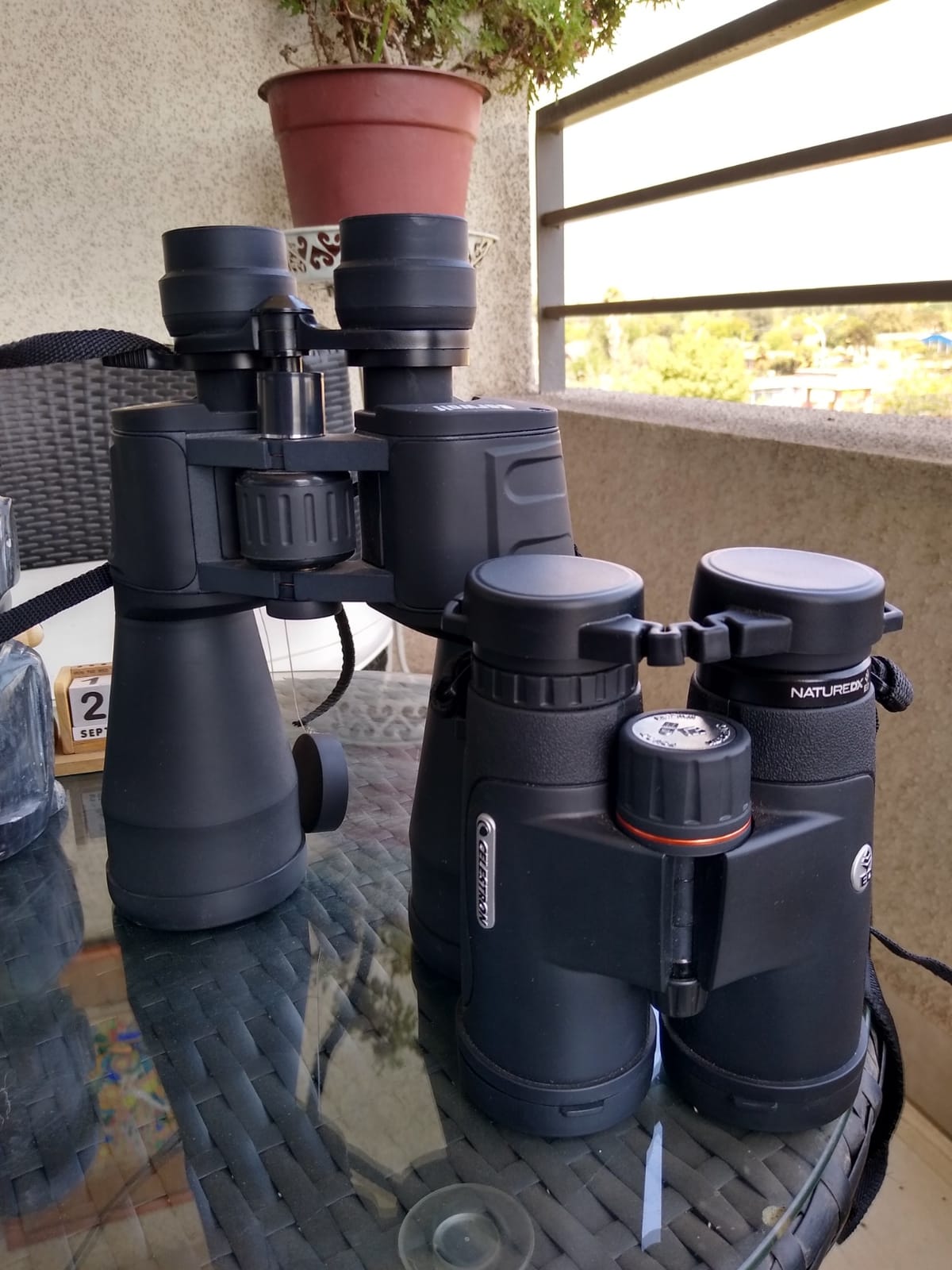 Celestron Nature DX ED 8x42 Premium Waterproof Birding Binoculars | ED Glass for True-to-Life Color, Fully Multi-Coated Optics & Phase Coated BaK-4 Prism customer photo 2
