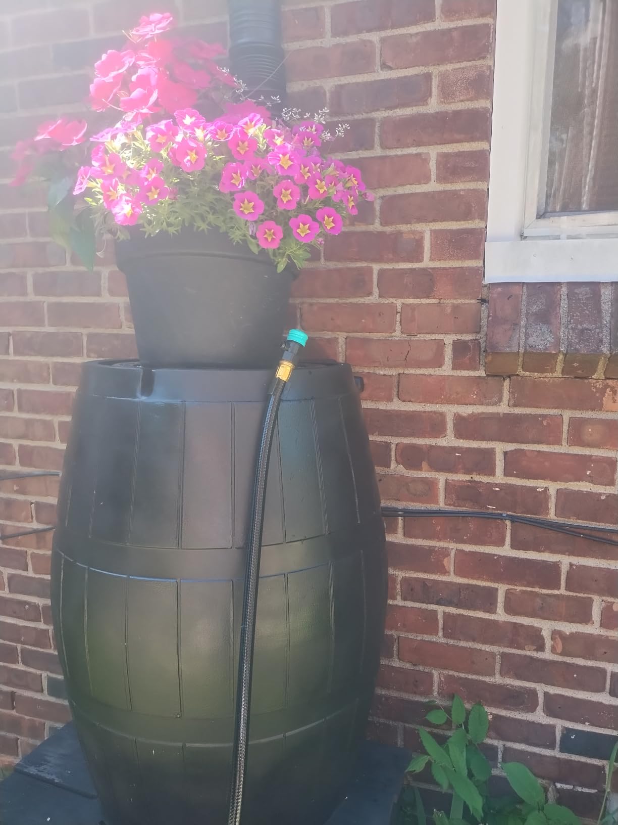 FCMP Outdoor Raincatcher 4000 Rain Barrel, Flat-Back Rainwater Catcher with Spigots, 50 Gallon, Brown customer photo 2