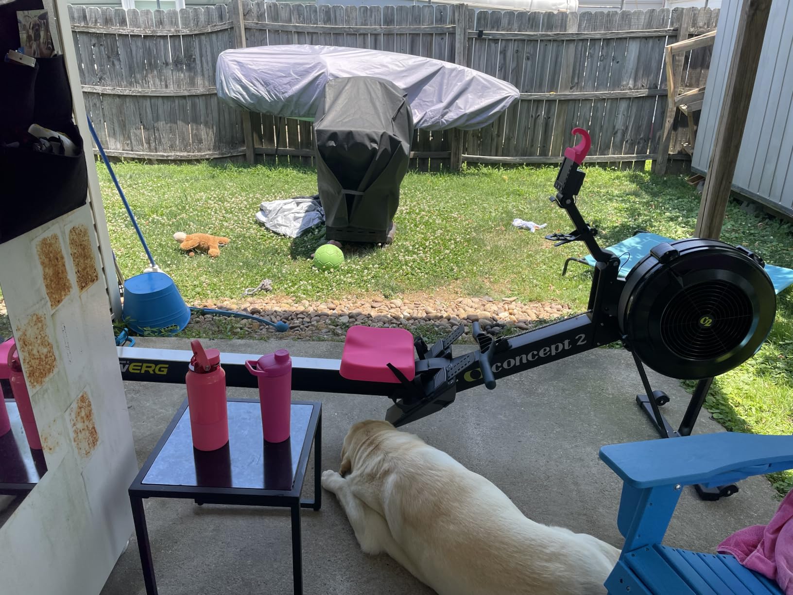 Concept2 RowErg Indoor Rowing Machine - PM5 Monitor, Device Holder, Adjustable Air Resistance customer photo 1
