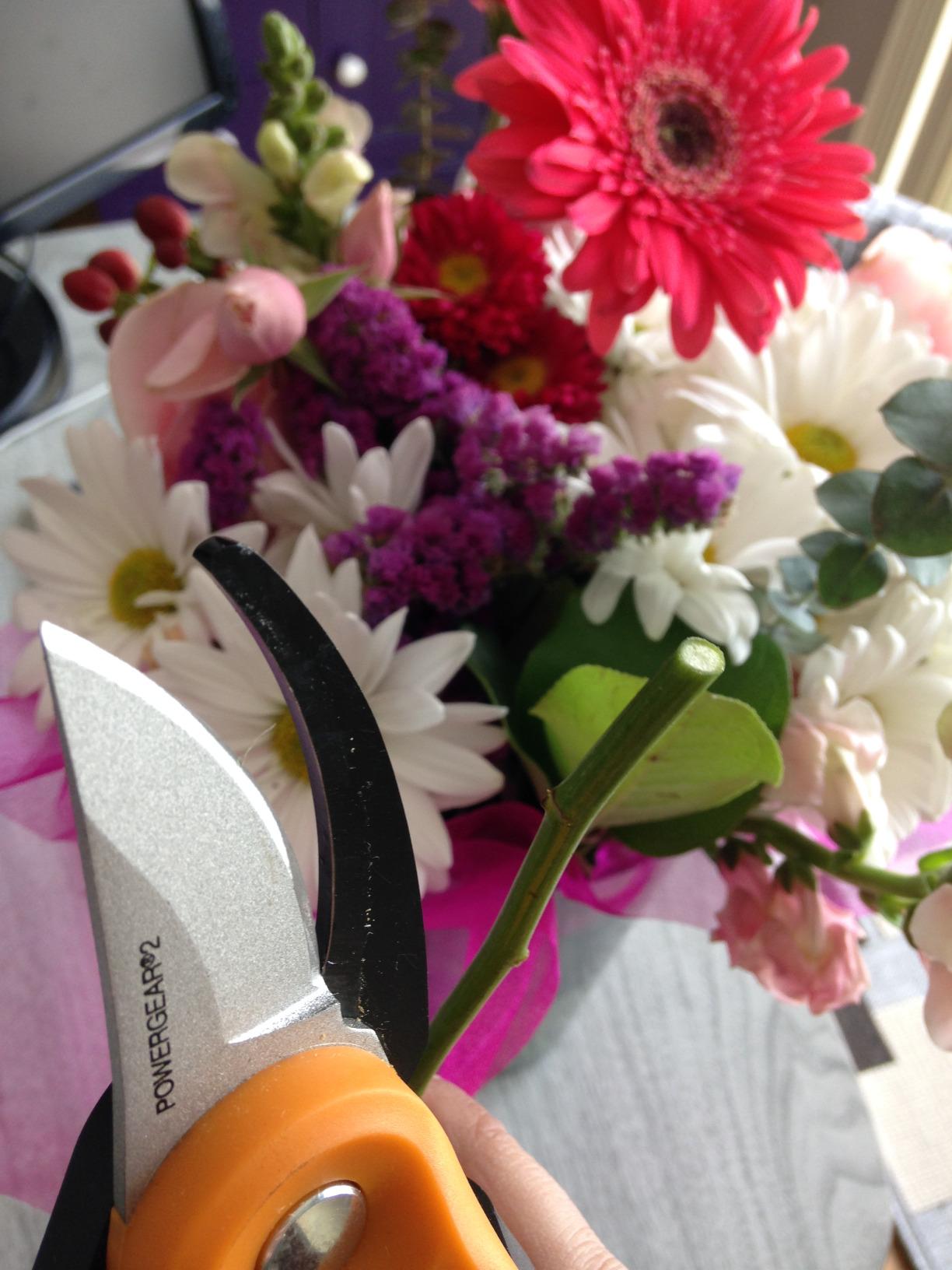 Fiskars PowerGear2 Bypass Pruning Shears, 3/4