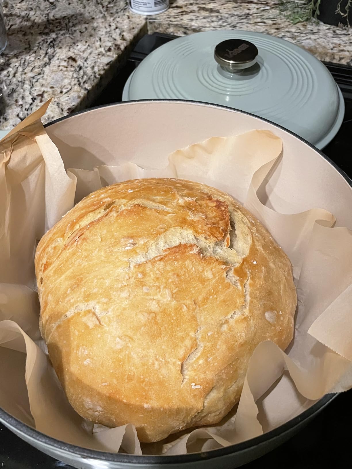 Lodge Essential Enamel Cast Iron Dutch Oven, 6 Quart, Oyster White | Ideal for Bread Baking, Braising, Marinating & Slow Cooking, Features Moisture-Sealing Lid & Dual Handles customer photo 1