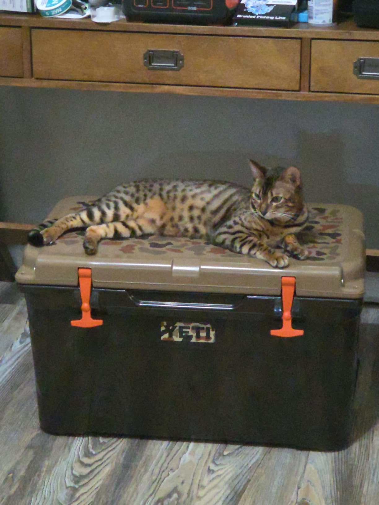 YETI Tundra 45 Cooler - Blue customer photo 1