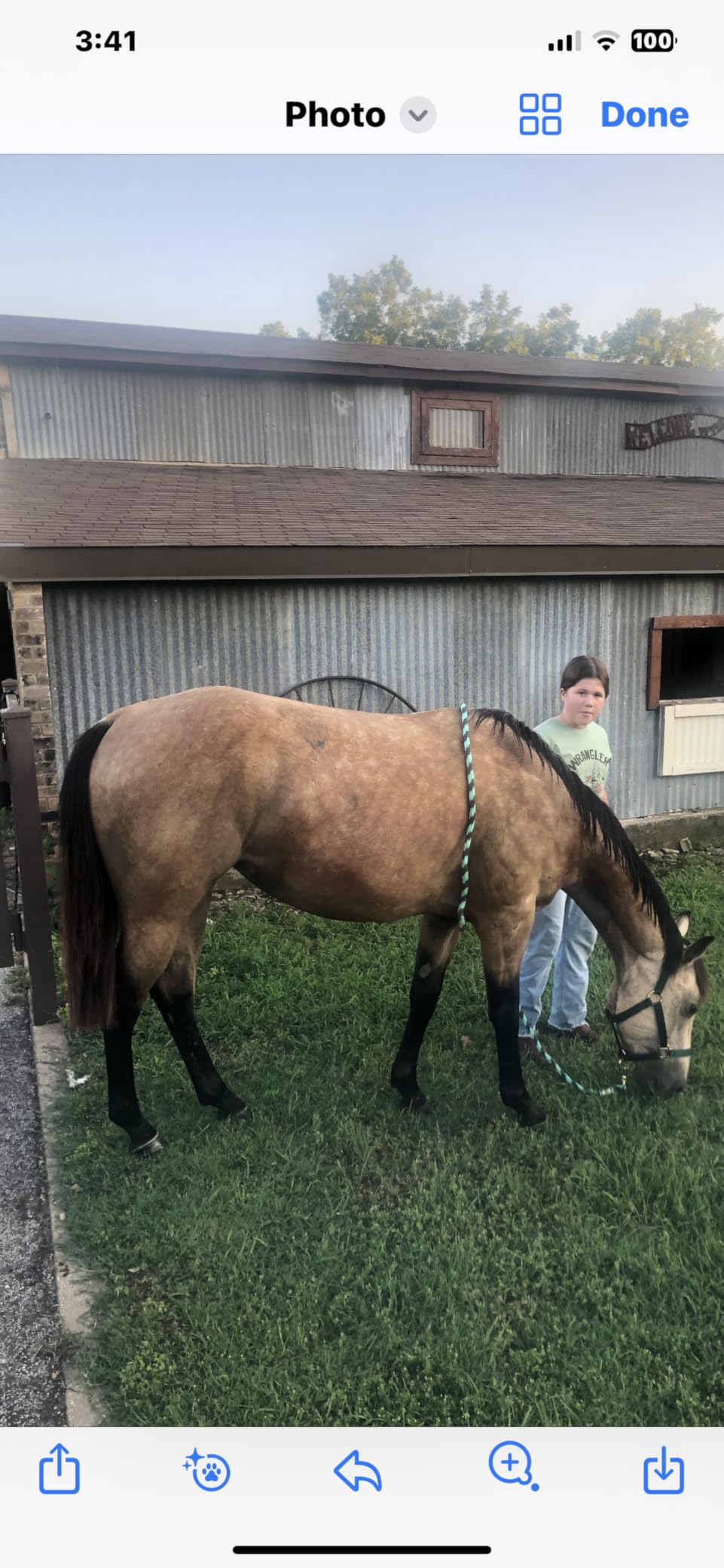100-Day Supply Equinety Horse XL Powder Horse Supplement with Amino Acids customer photo 2