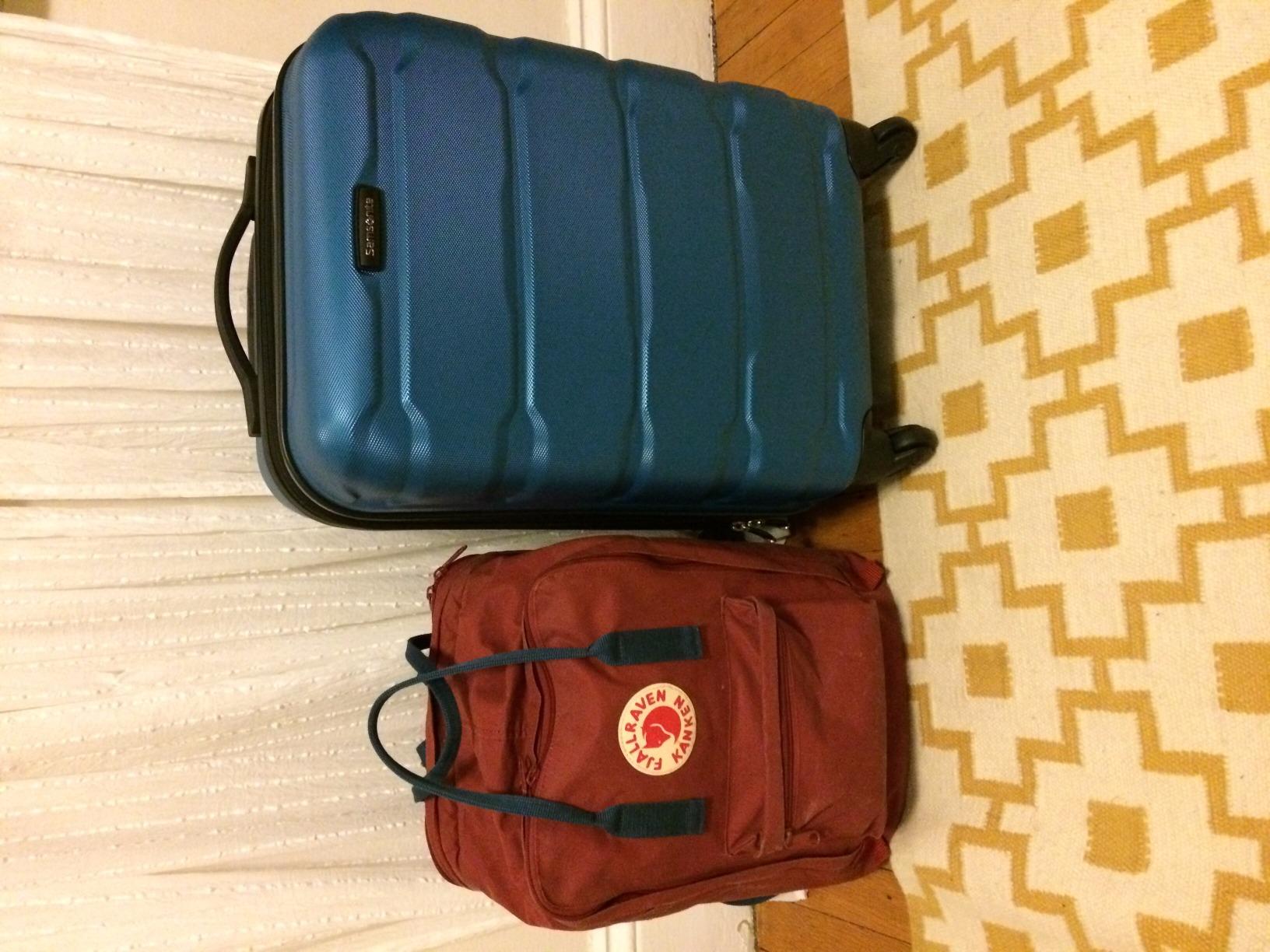 Omni PC Hardside Expandable Luggage with Spinner Wheels, Teal, Checked-Large 28-Inch customer photo 1