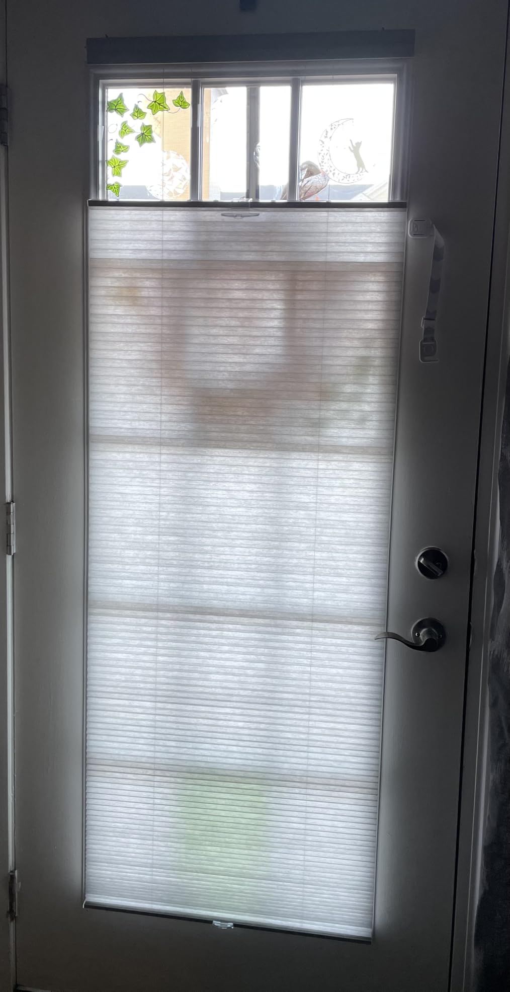 Cordless Cellular Pleated Shades, 35 x 64 in, White, Light Filtering | Cordless Lift and Light-Control Window Coverage customer photo 2