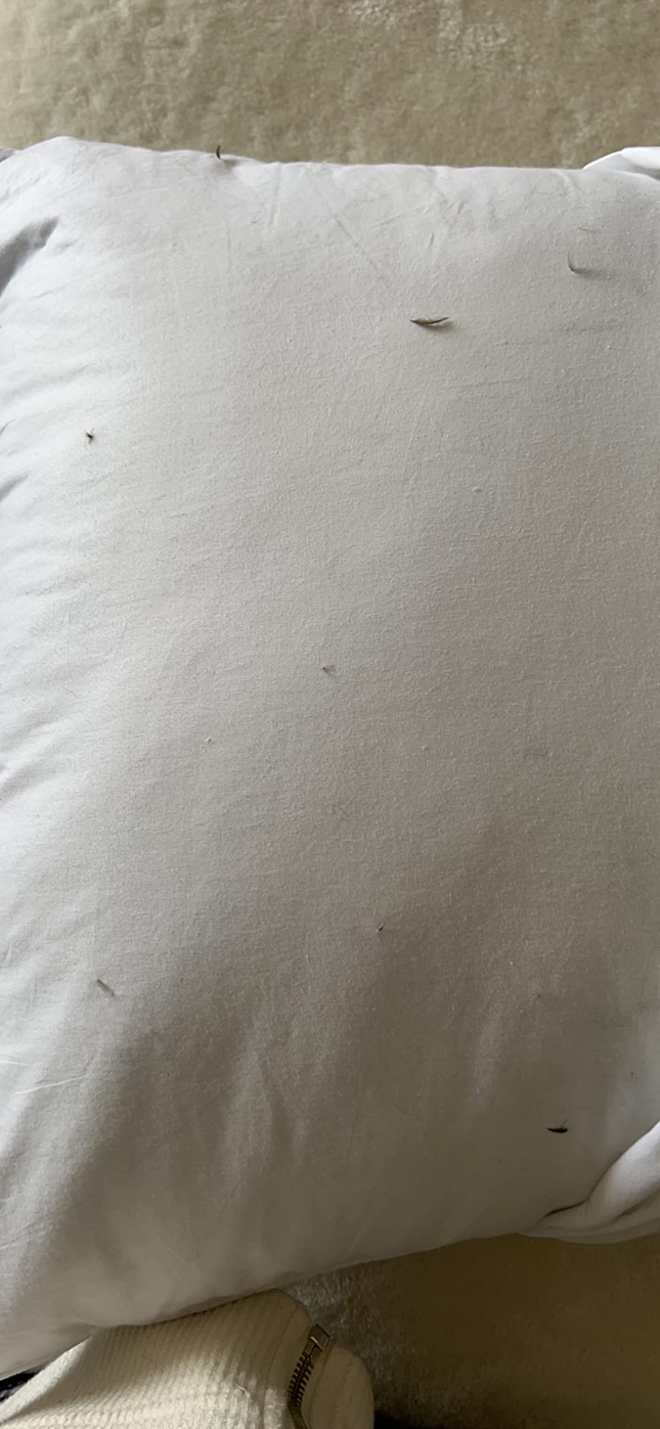 puredown Goose Feathers and Down White Pillows with 100% Cotton Cover, Bed Sleeping Hotel Collection Pillows Set of 2, Standard Size customer photo 2