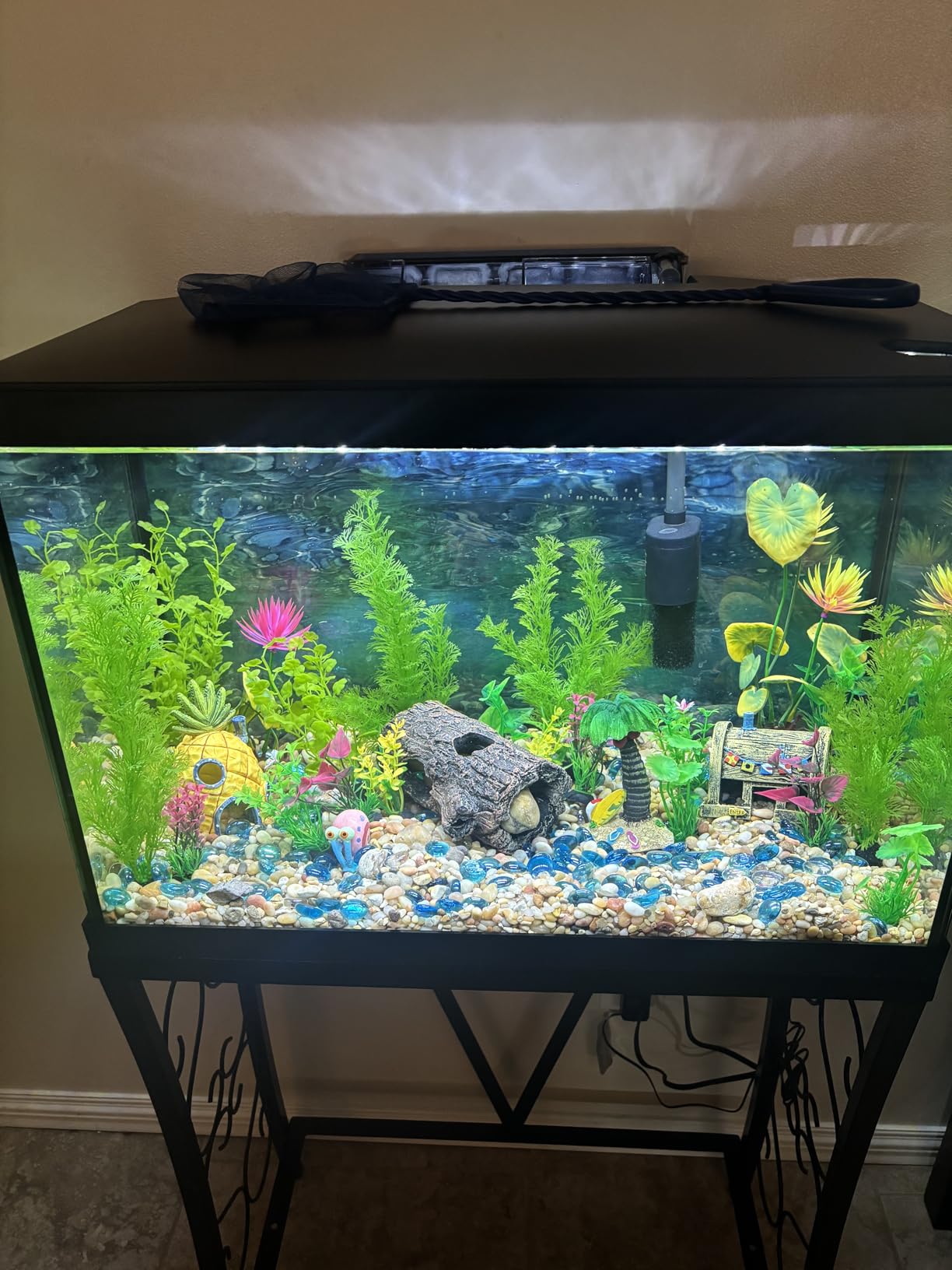 Marina 20 Gallon LED Aquarium Kit with Filter, Lighting & Accessories | Complete Fish Tank Setup customer photo 1