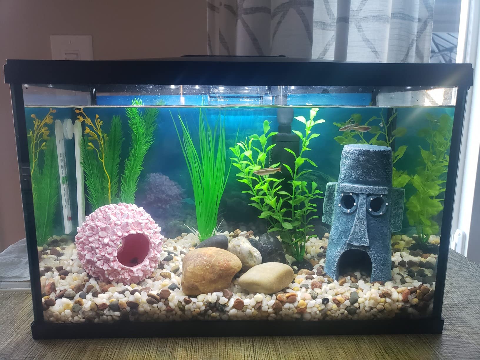 Marina 20 Gallon LED Aquarium Kit with Filter, Lighting & Accessories | Complete Fish Tank Setup customer photo 2