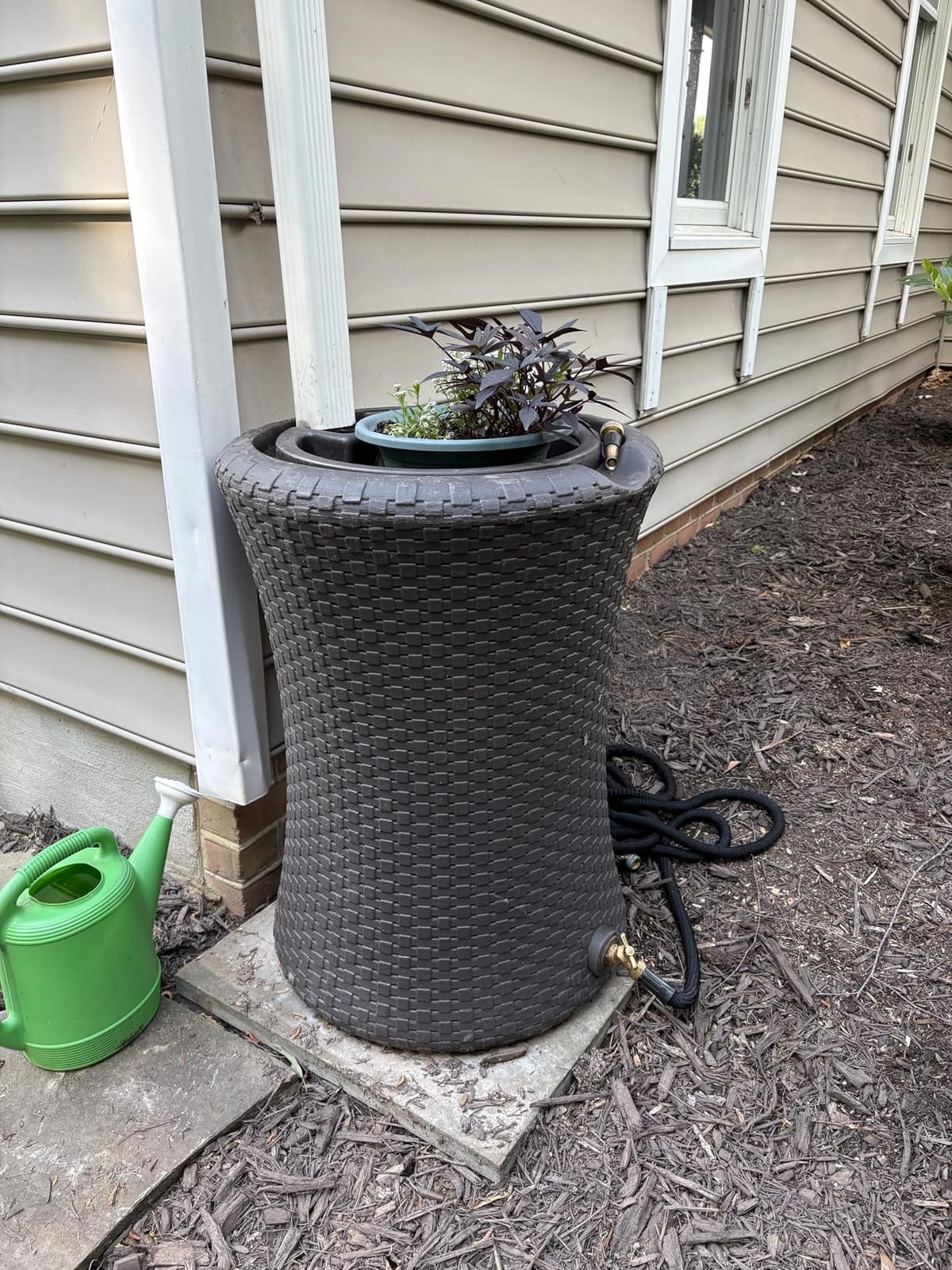 Good Ideas Impressions Nantucket Rain Water Collection Barrel, 50 Gallon, Dark Brown with Garden Planter and Metal Spigots customer photo 2