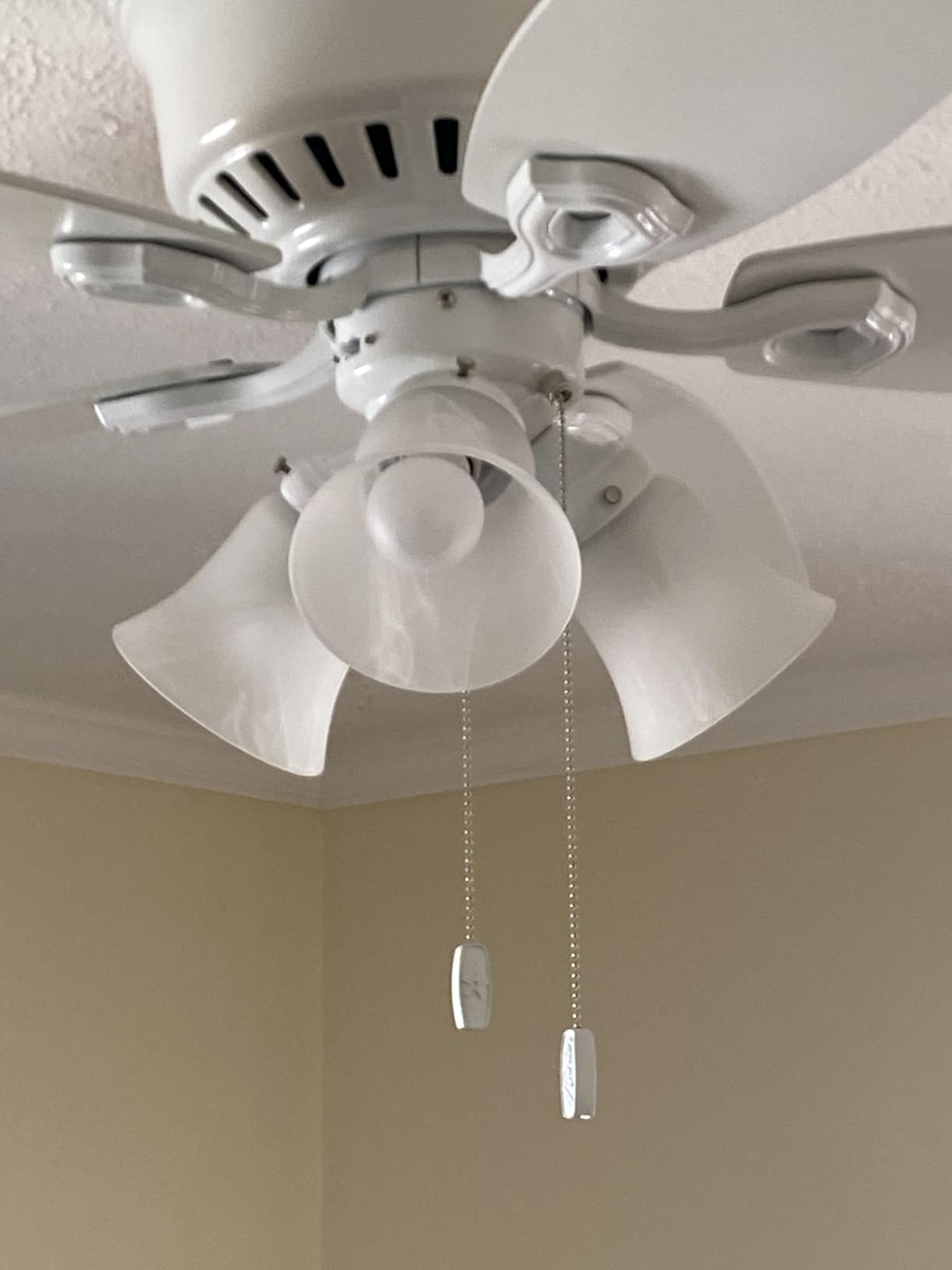 Hunter Builder, Indoor, Ceiling Fan, with LED Lights, 42 inch, New Bronze | Low Profile Flush Mount, Pull Chain, 5 Blades, For Bedroom, Living Room, Kitchen, 51091 customer photo 1