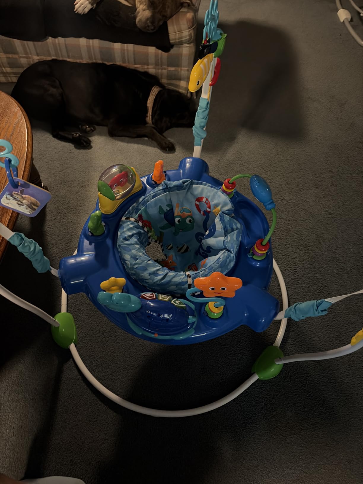 Baby Einstein Neptune's Ocean Discovery Activity Baby Jumper Activity Center, Ages 6 Months +, Max Weight 25 lbs., Unisex customer photo 2