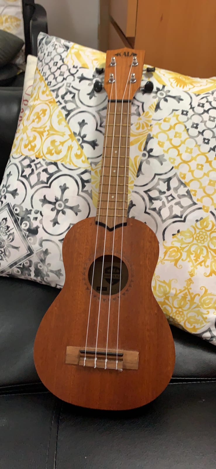 Kala LTP-S Learn-to-Play Mahogany Soprano Ukulele Starter Kit | Satin Mahogany, Includes online lessons, tuner app, and booklet (KALA-LTP-S) customer photo 1