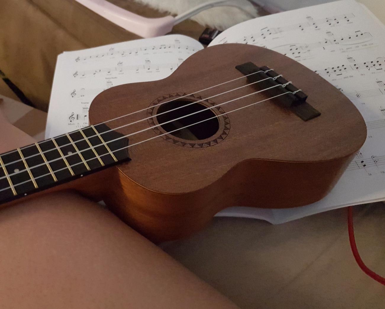 Kala LTP-S Learn-to-Play Mahogany Soprano Ukulele Starter Kit | Satin Mahogany, Includes online lessons, tuner app, and booklet (KALA-LTP-S) customer photo 2